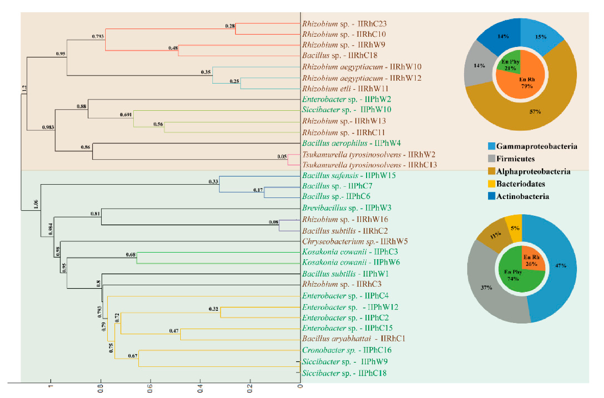 Diversity 12 00418 g006 Diversity 12 00418 g006