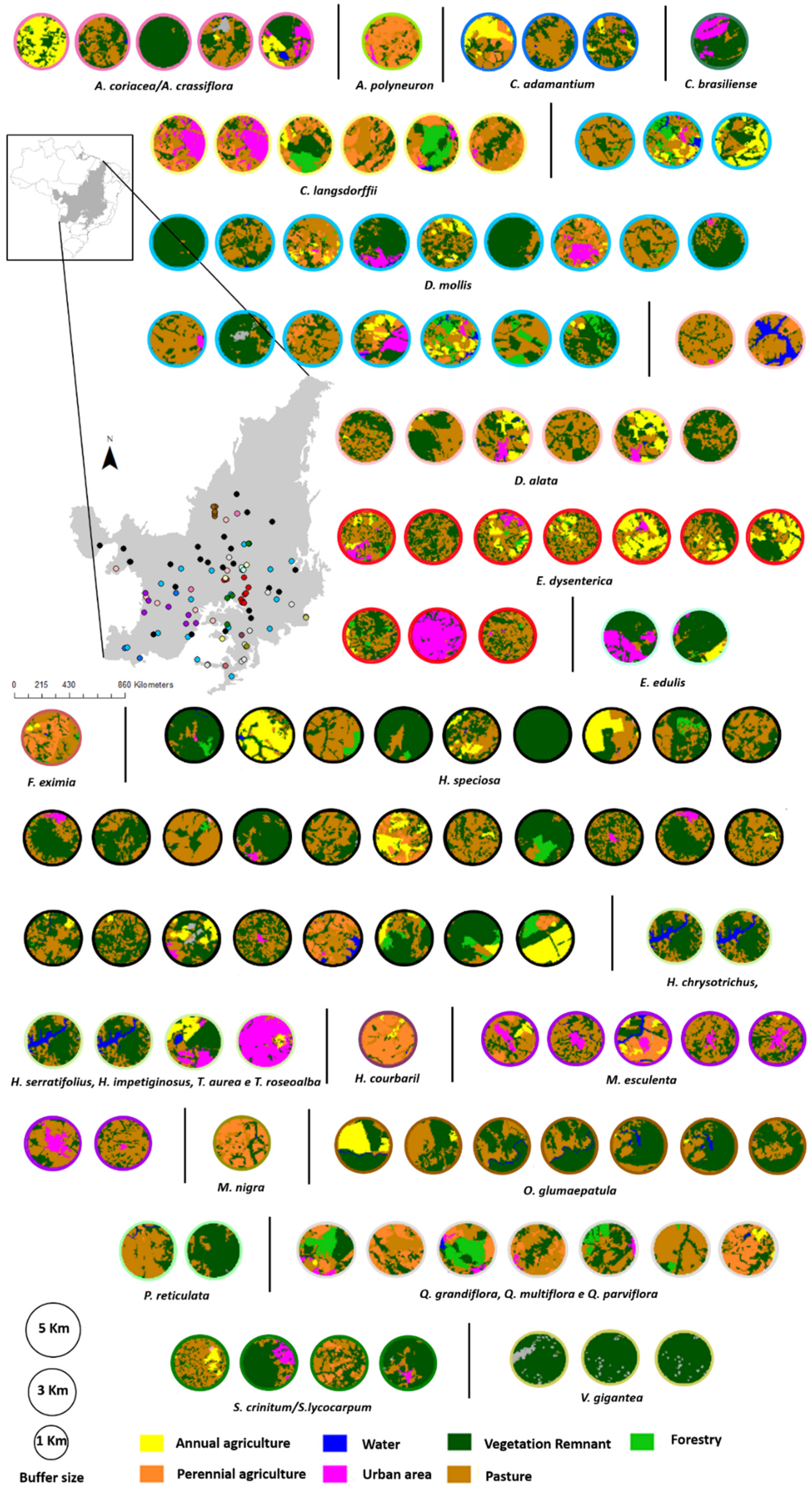 Diversity 12 00421 g003