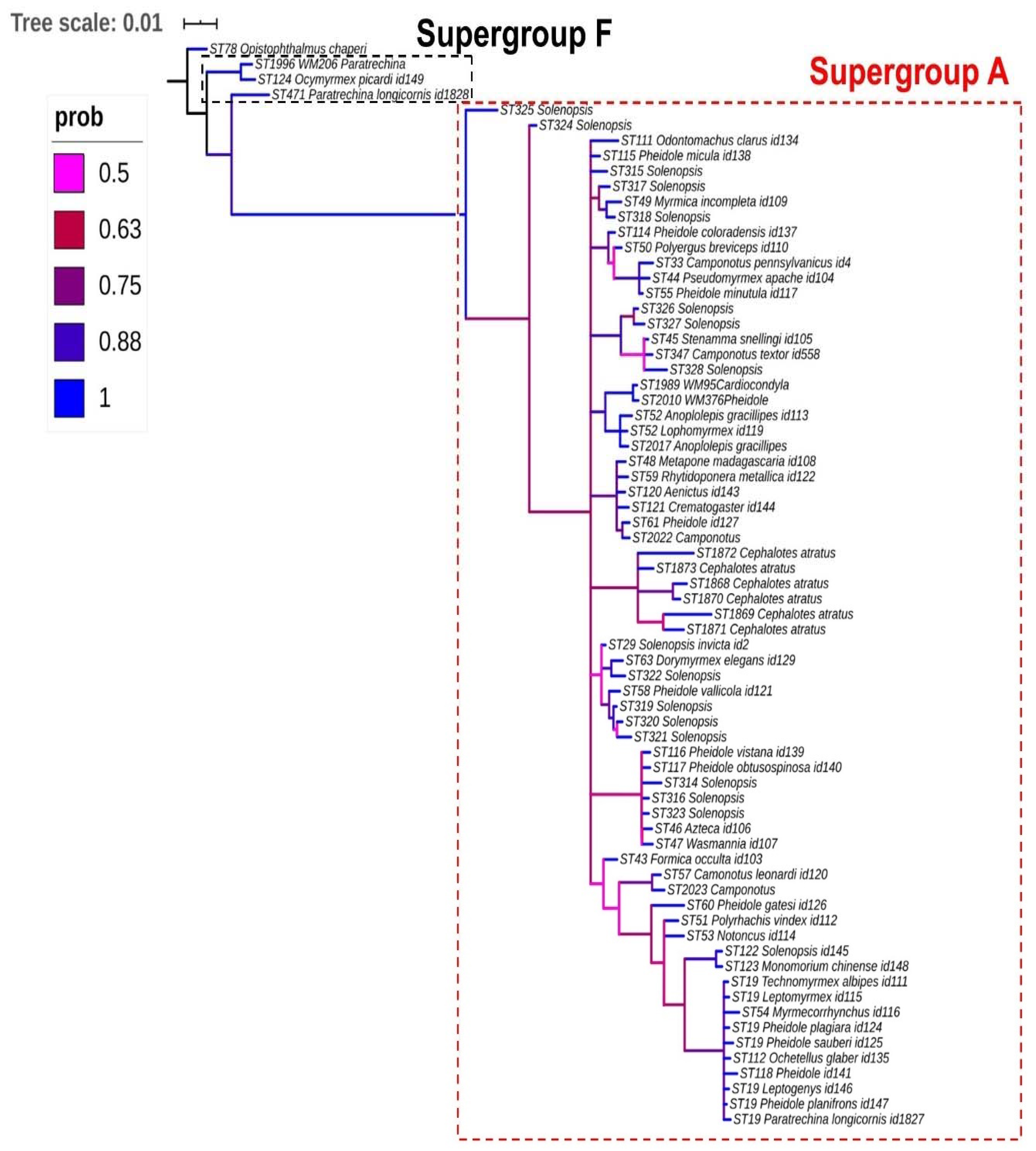Diversity 12 00426 g001 Diversity 12 00426 g001
