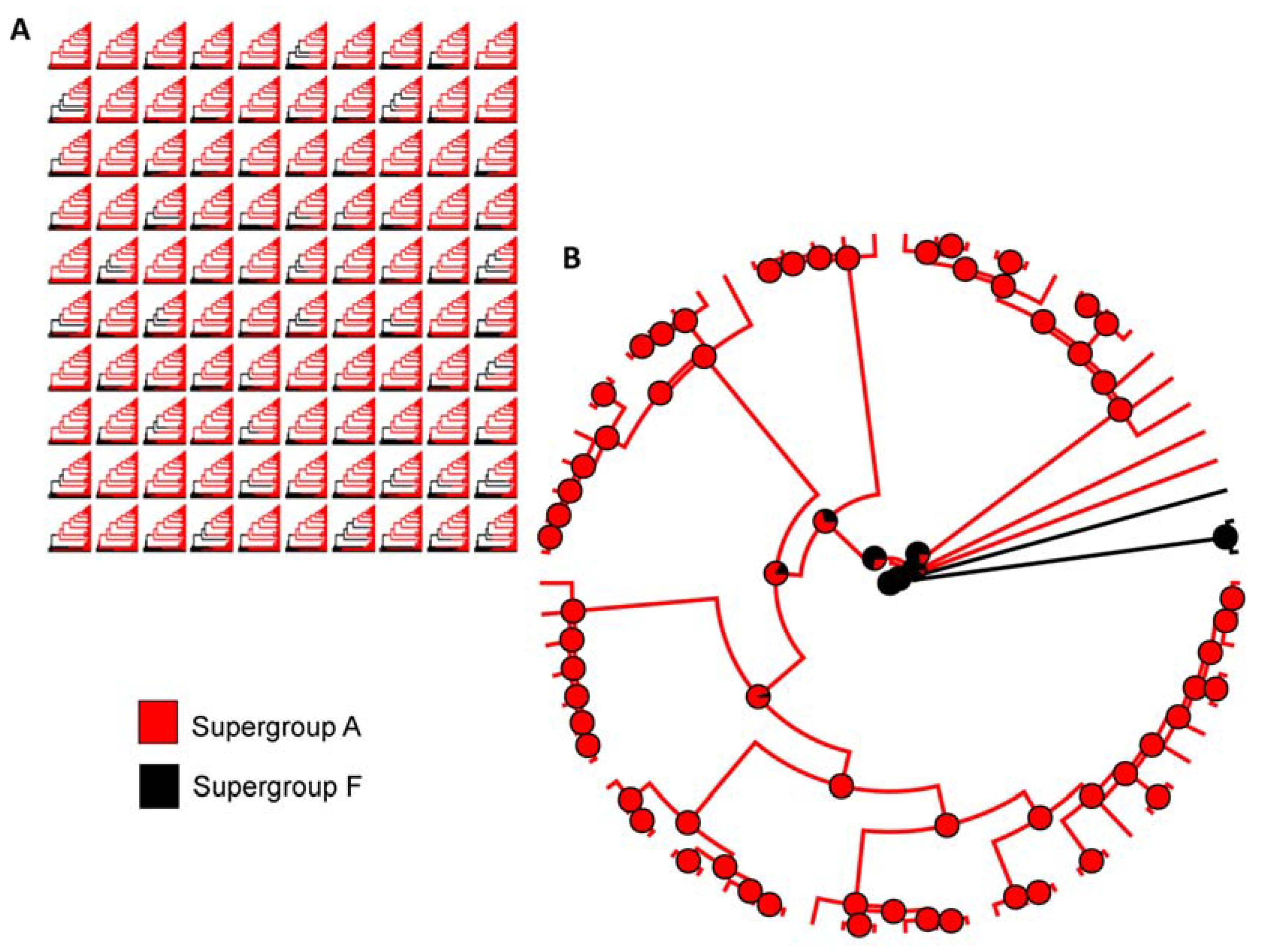 Diversity 12 00426 g002 Diversity 12 00426 g002