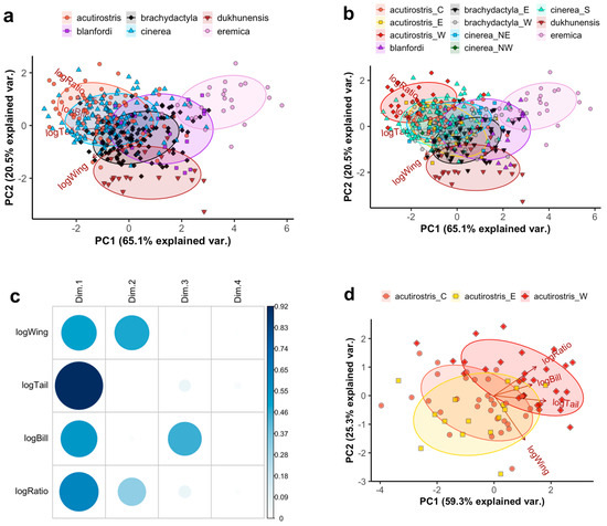 Diversity Free Full Text Molecular Species Delimitation Of Larks Aves Alaudidae And Integrative Taxonomy Of The Genus Calandrella With The Description Of A Range Restricted African Relic Taxon Html