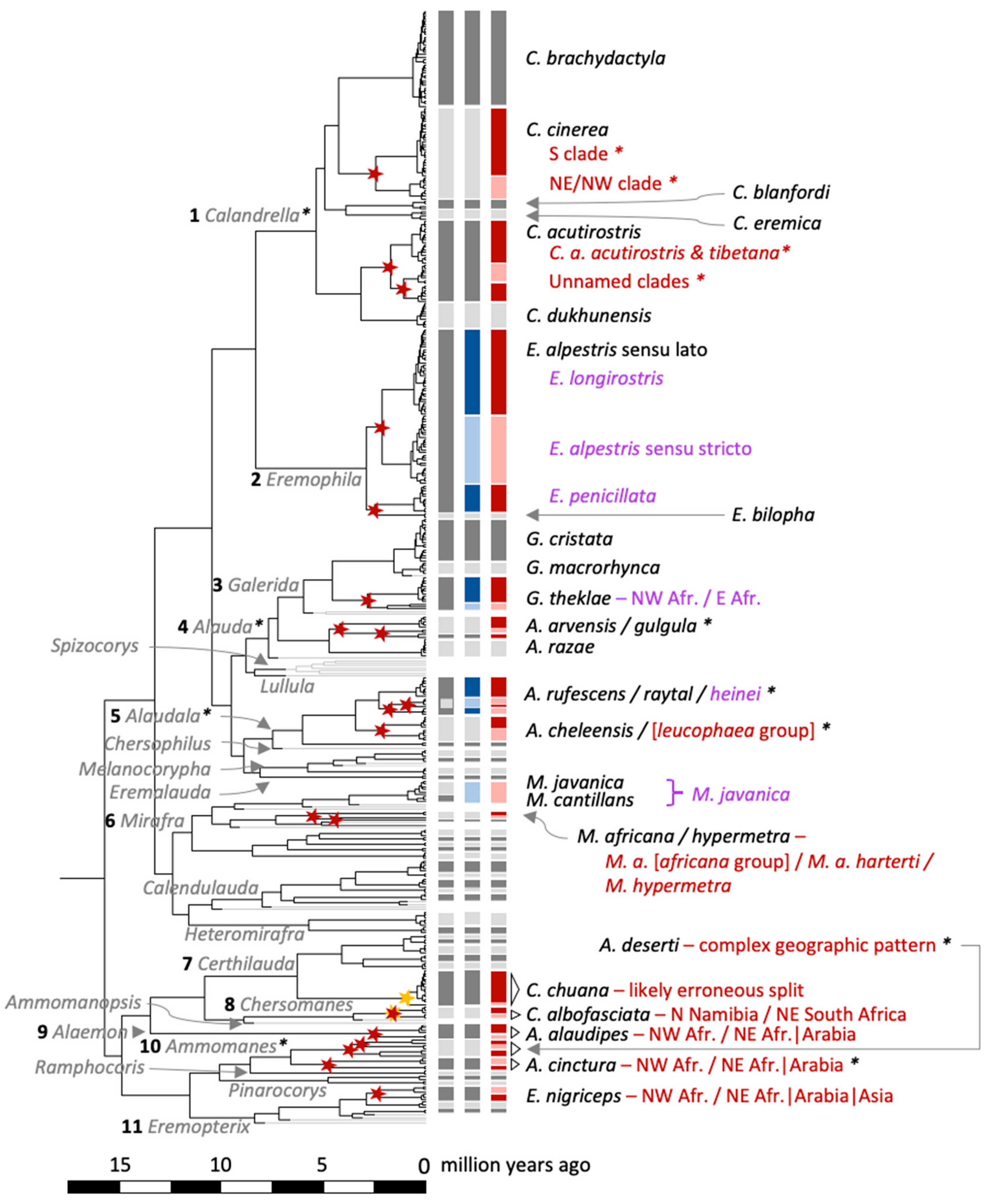 Diversity 12 00428 g006