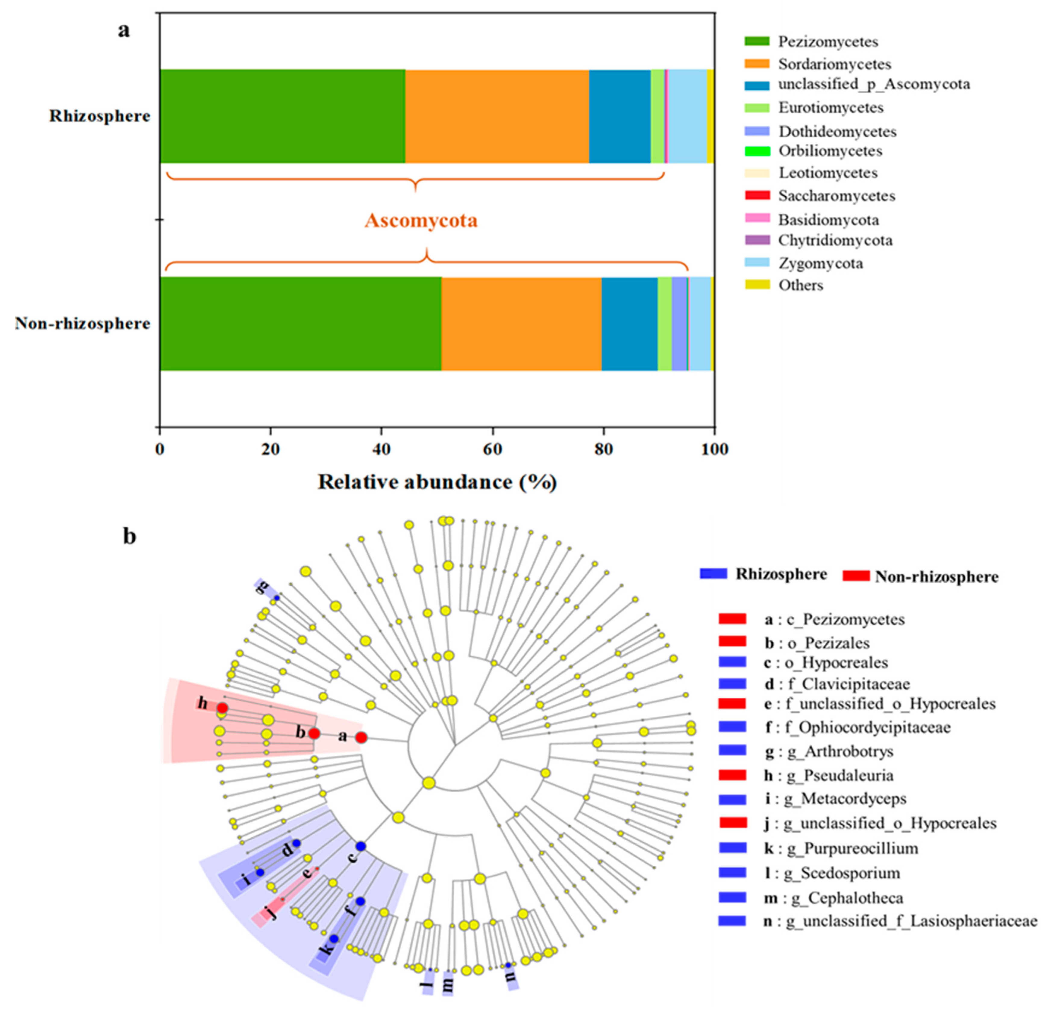 Diversity 12 00432 g002