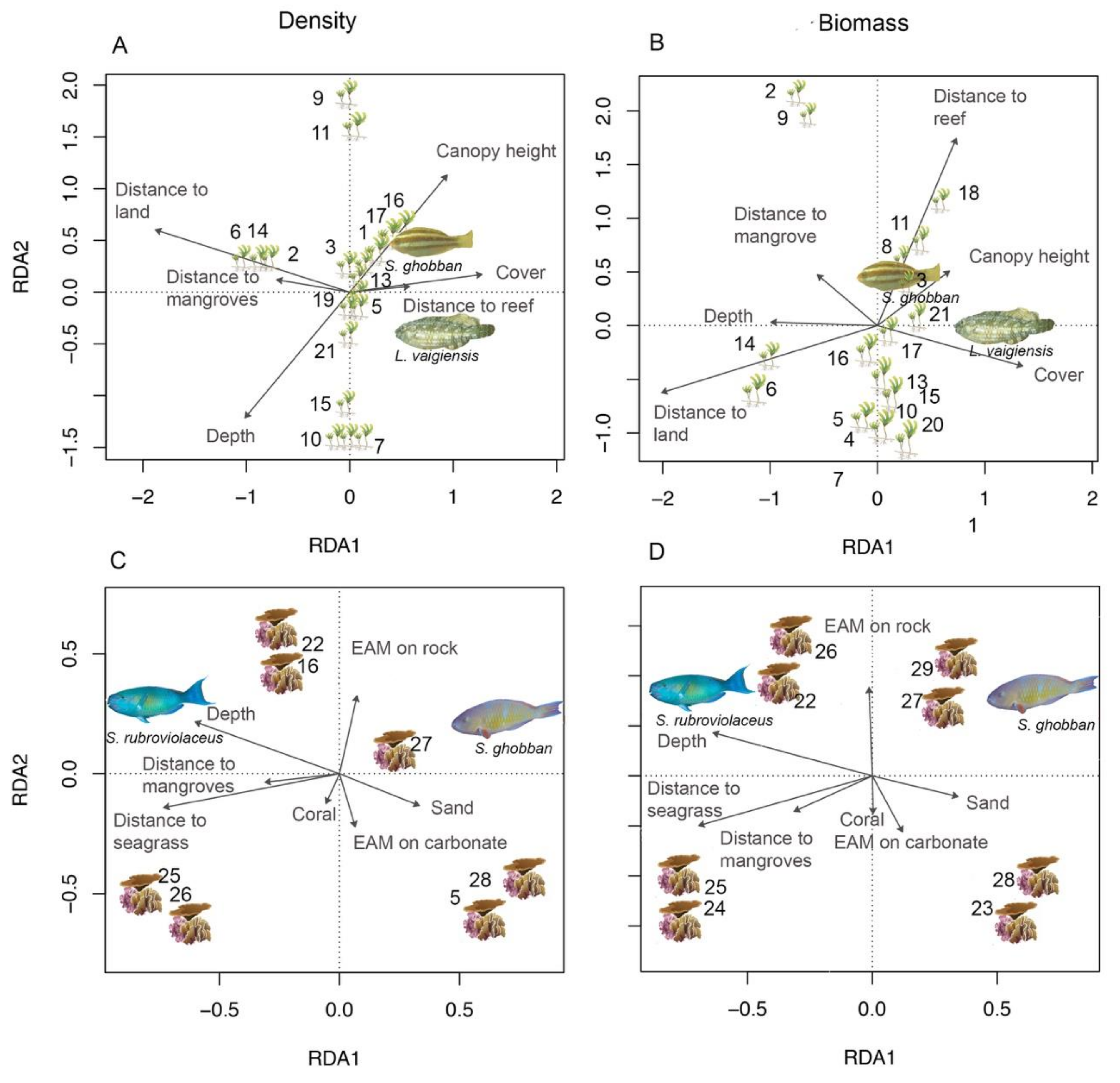 Diversity 12 00434 g002 Diversity 12 00434 g002