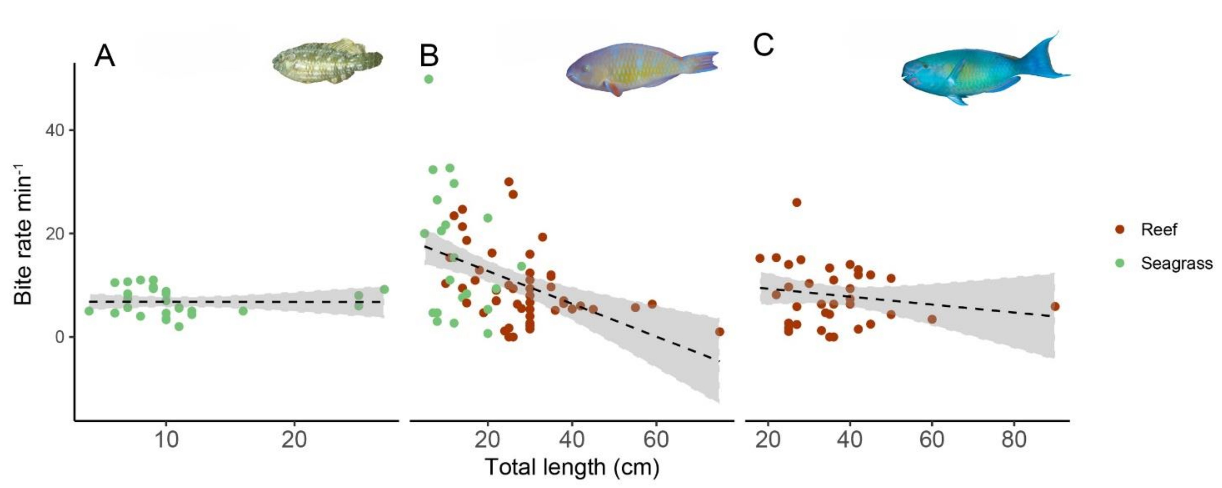 Diversity 12 00434 g003 Diversity 12 00434 g003