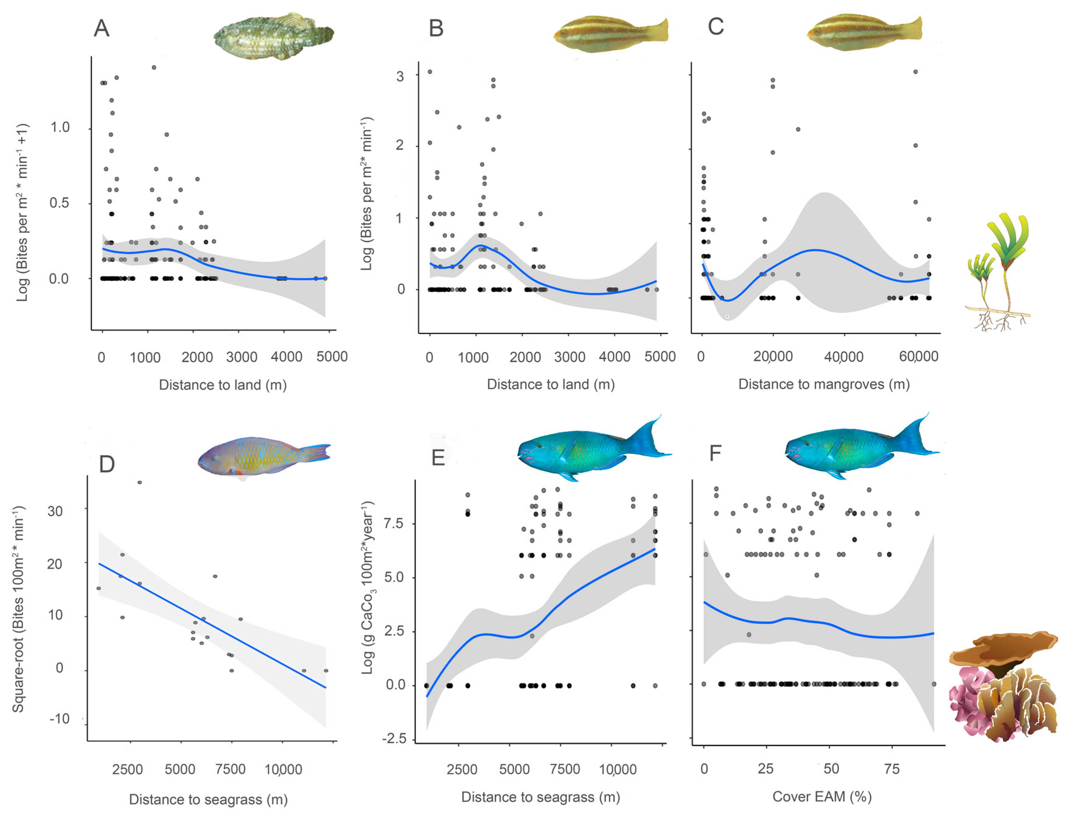 Diversity 12 00434 g005 Diversity 12 00434 g005