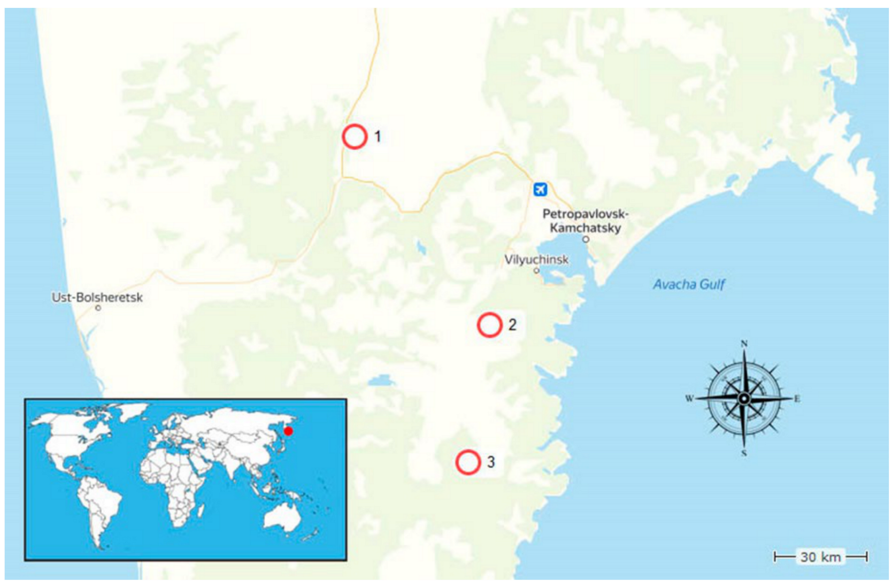 Diversity 12 00435 g001