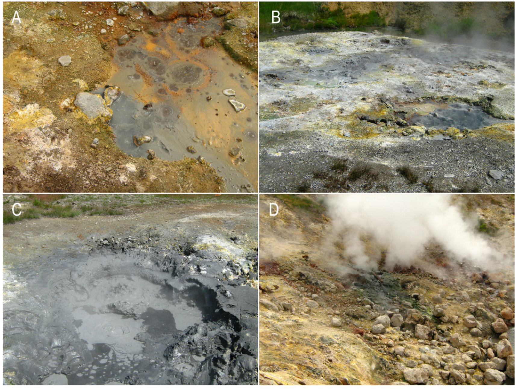 Diversity 12 00435 g002