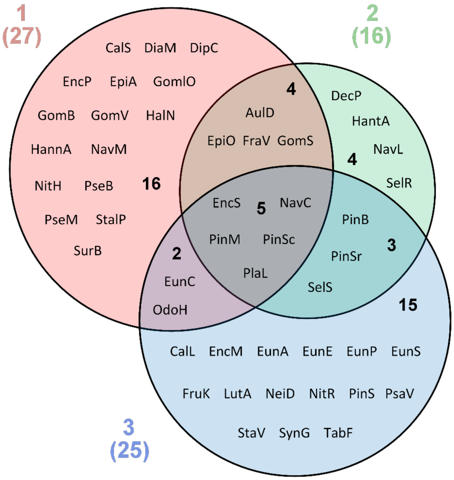 Diversity 12 00435 g004