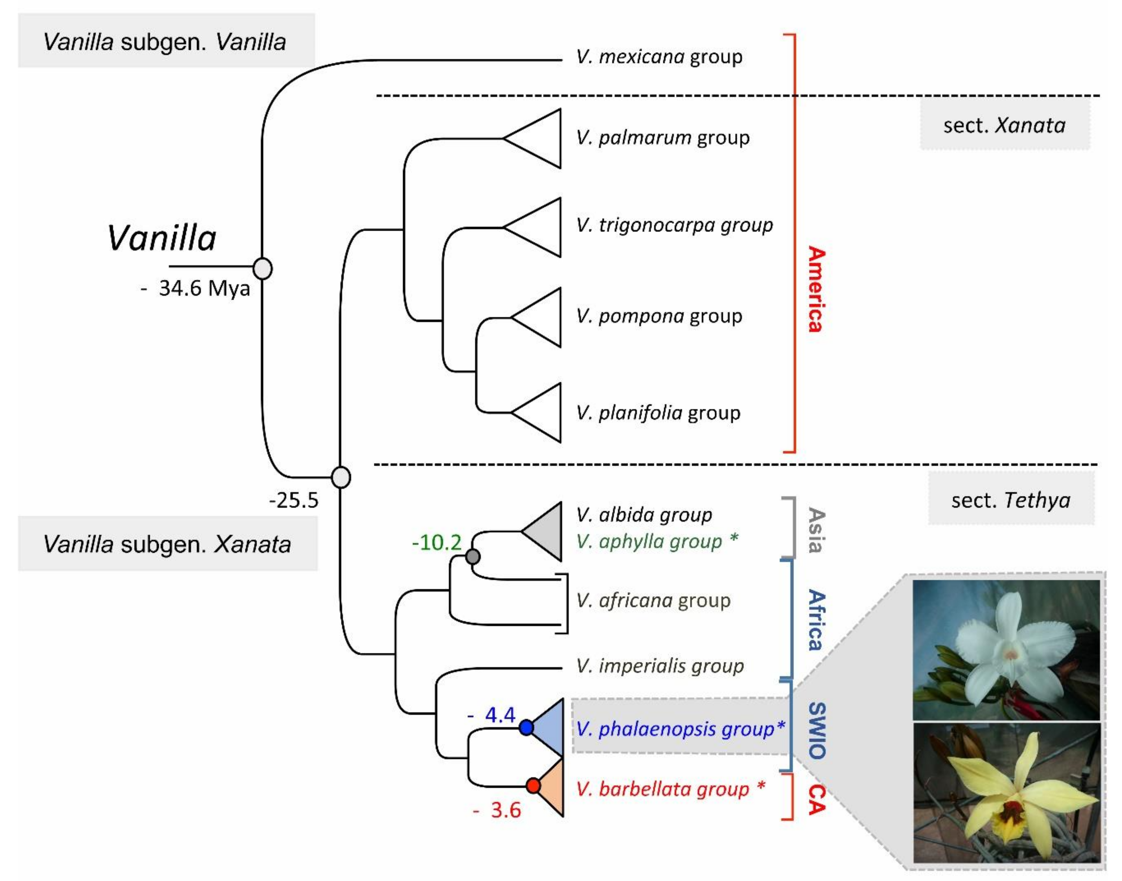 Diversity 12 00443 g001