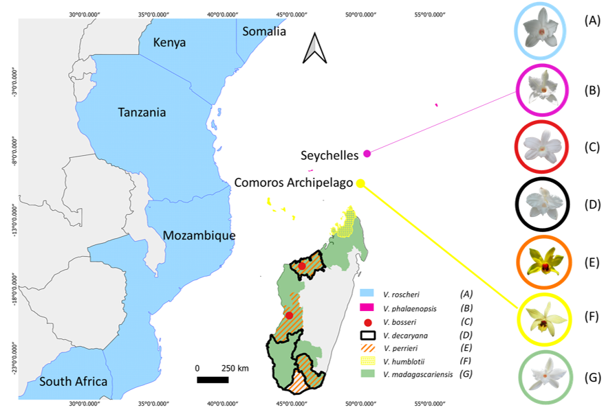 Diversity 12 00443 g005