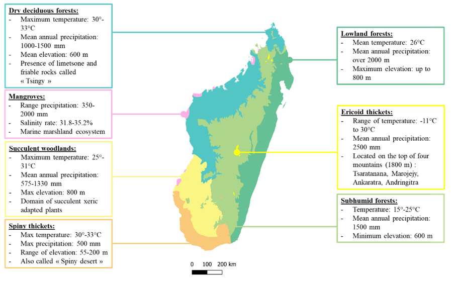 Diversity 12 00443 g008