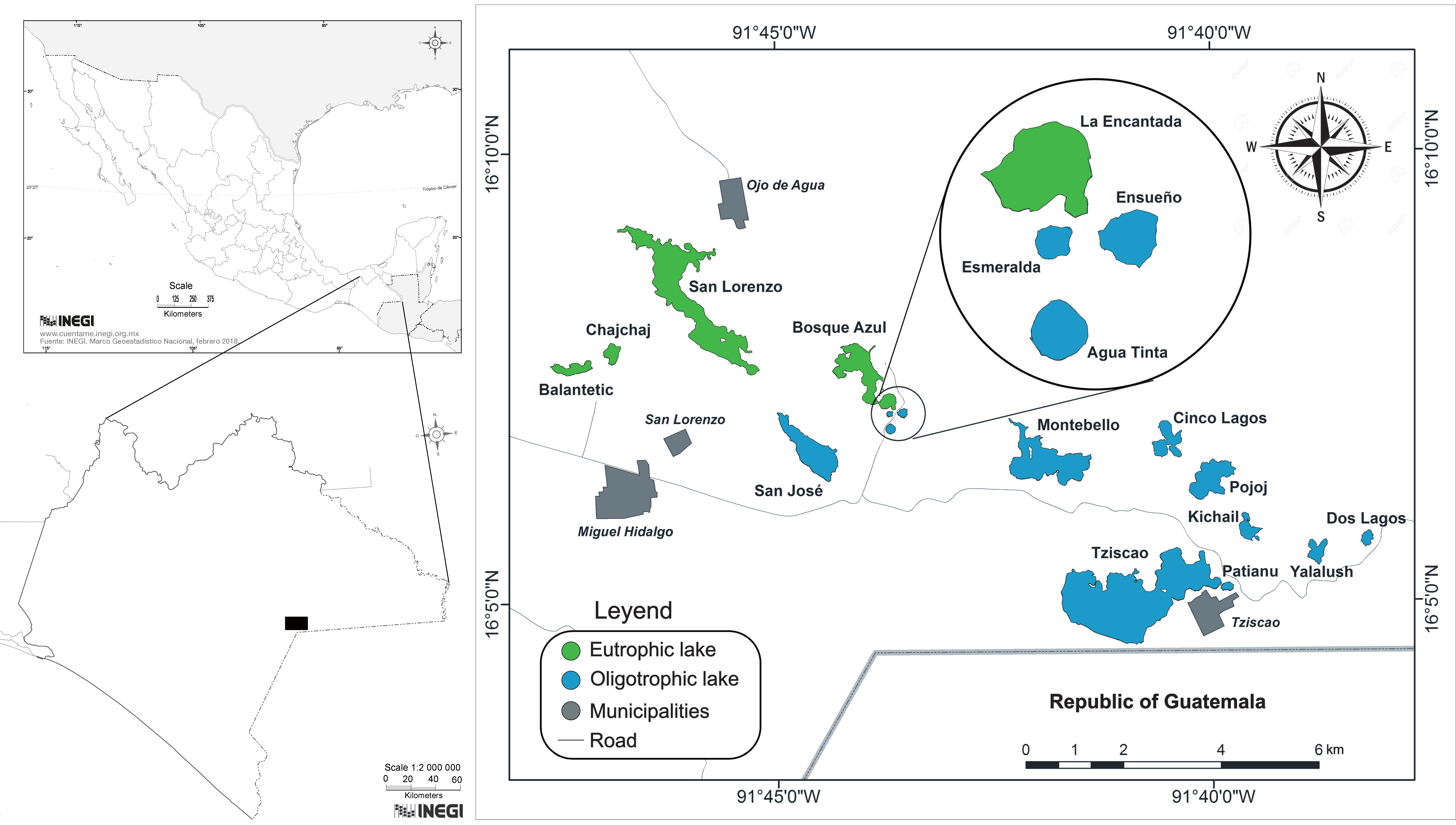 Diversity 12 00454 g001
