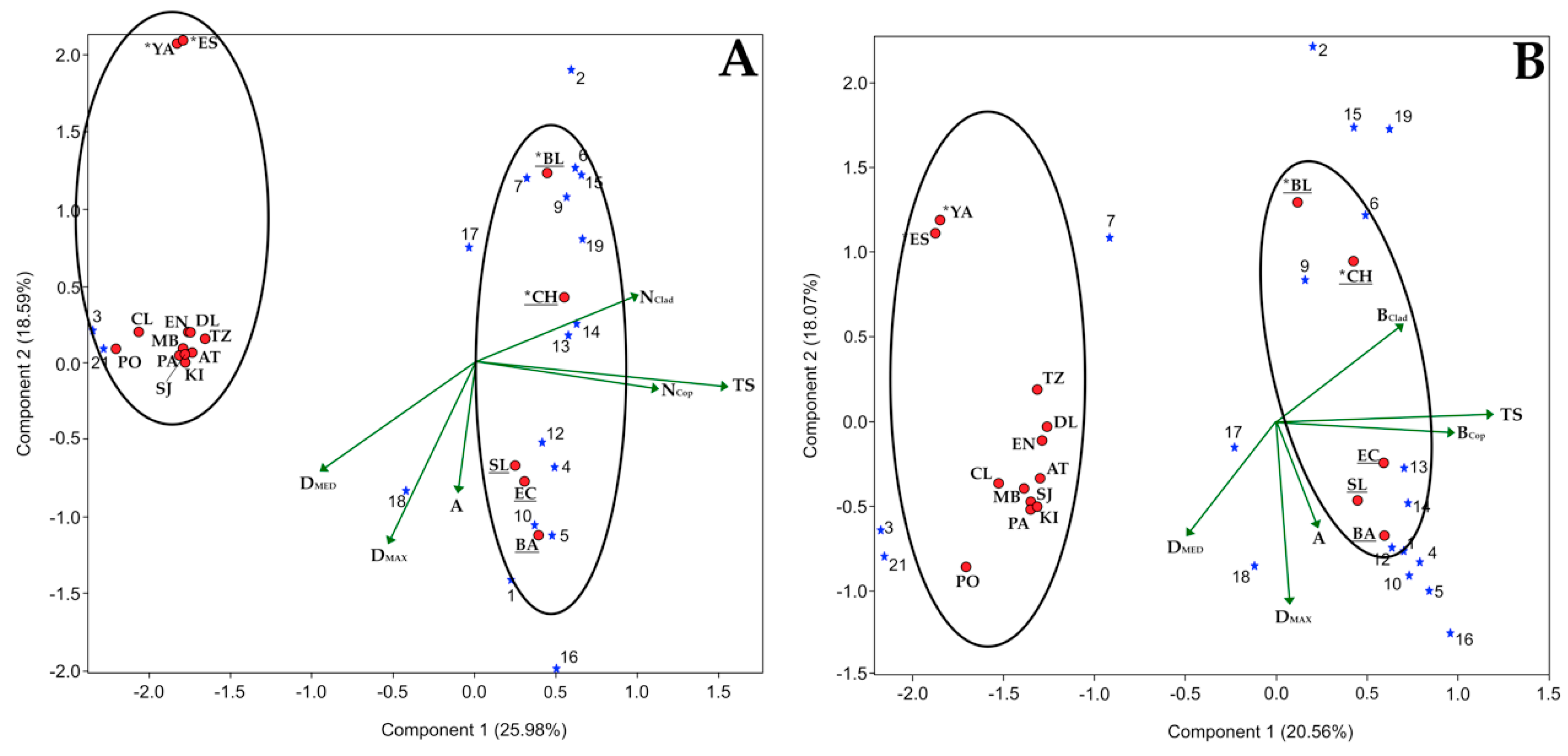 Diversity 12 00454 g004