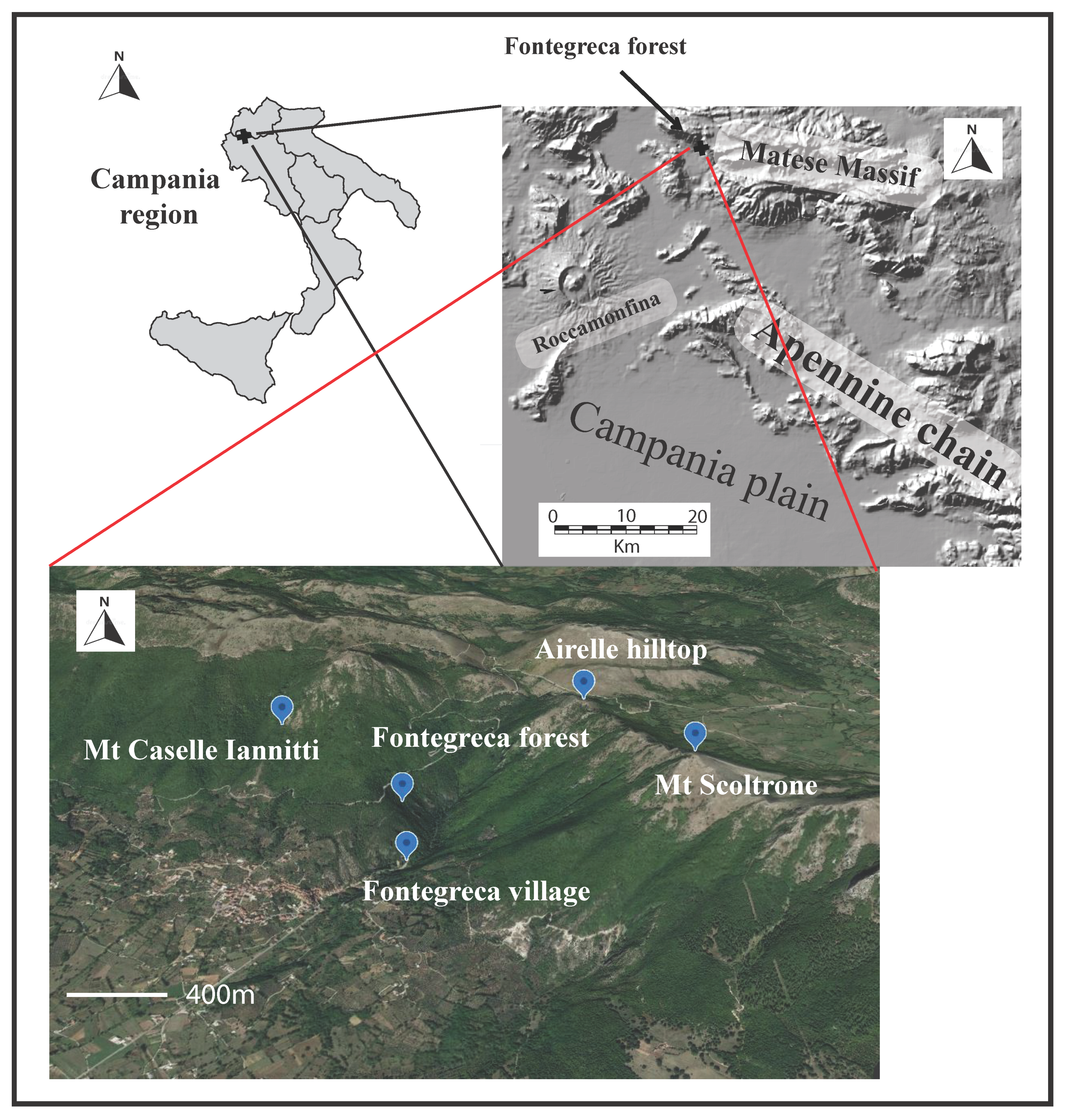 Diversity 12 00461 g001