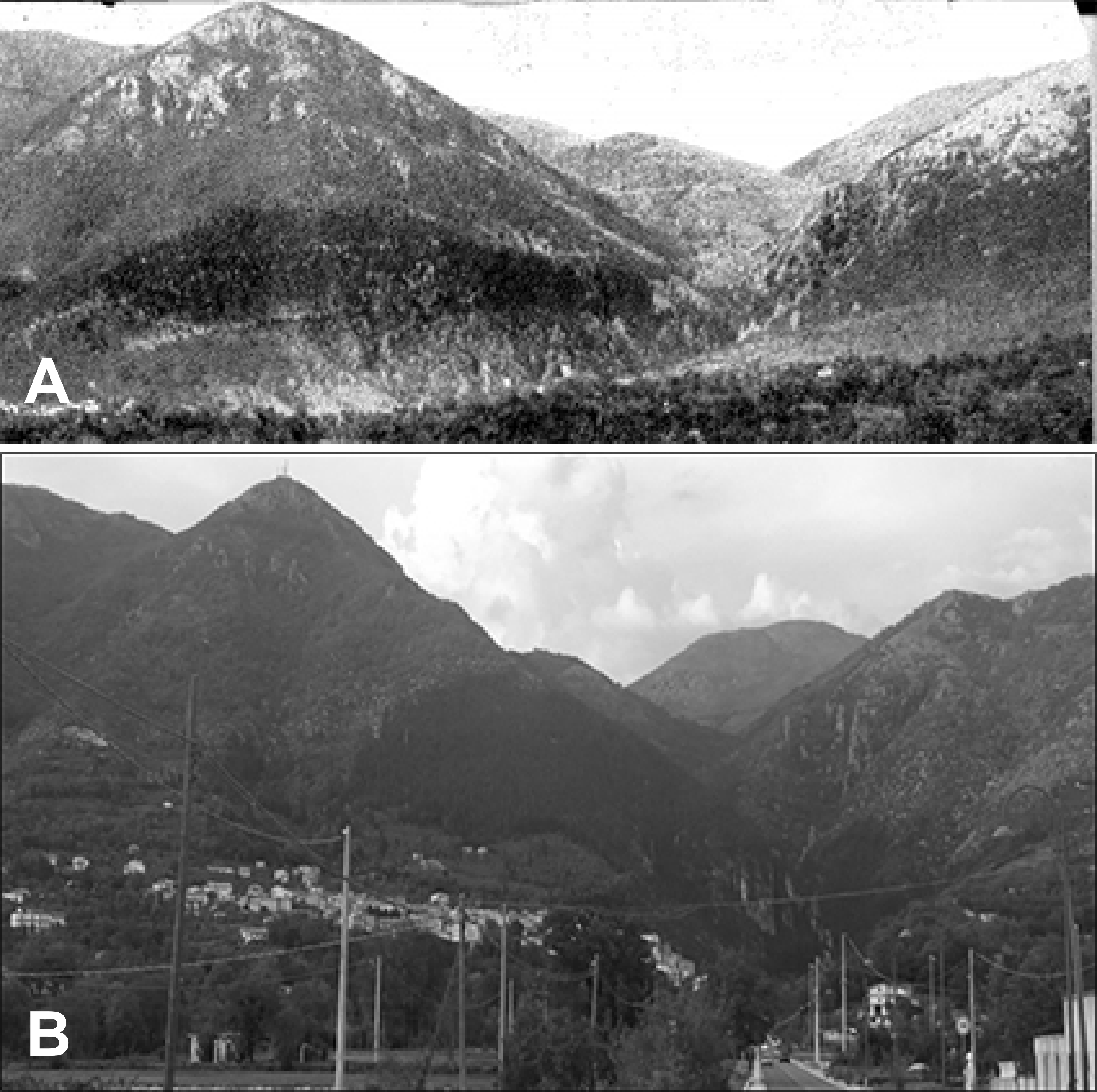 Diversity 12 00461 g005