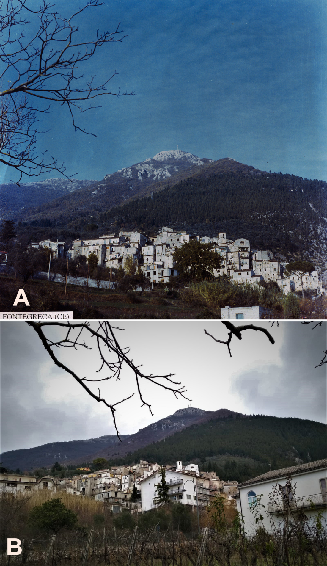 Diversity 12 00461 g006