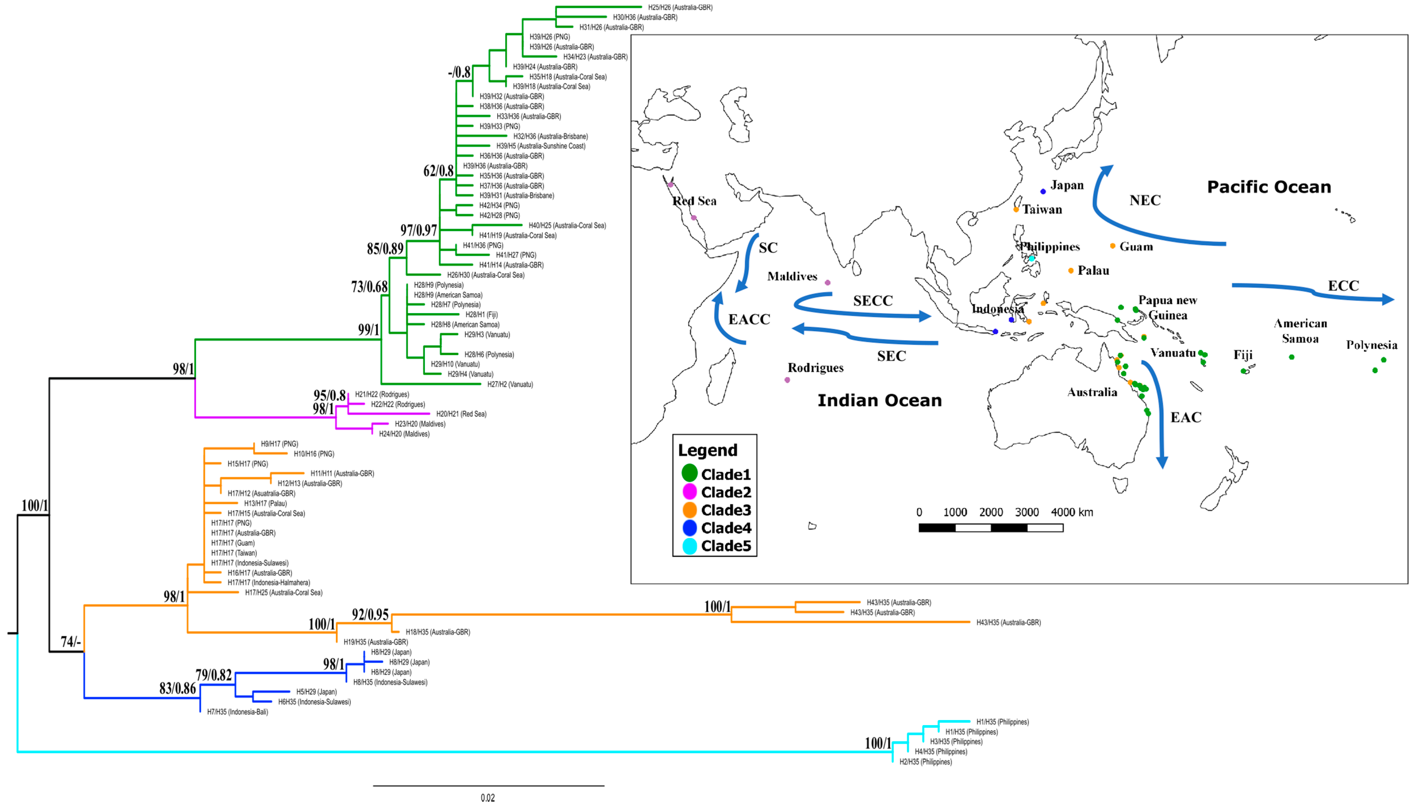 Diversity 12 00466 g001 Diversity 12 00466 g001