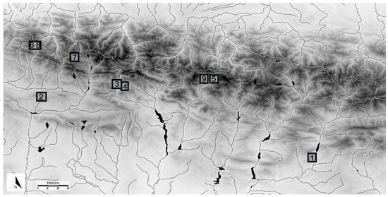 https://www.mdpi.com/diversity/diversity-12-00471/article_deploy/html/images/diversity-12-00471-g001-550.jpg