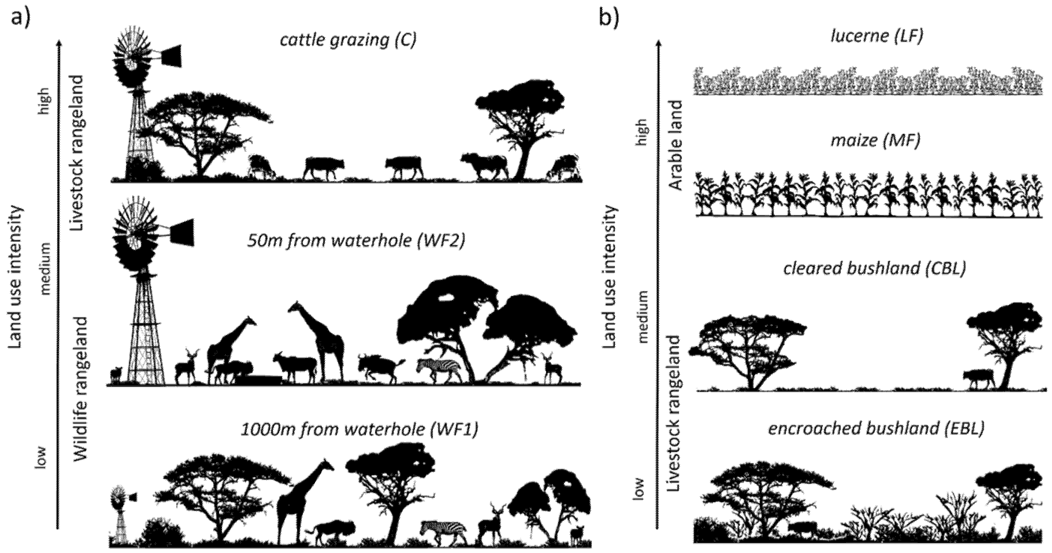 Diversity 12 00488 g001