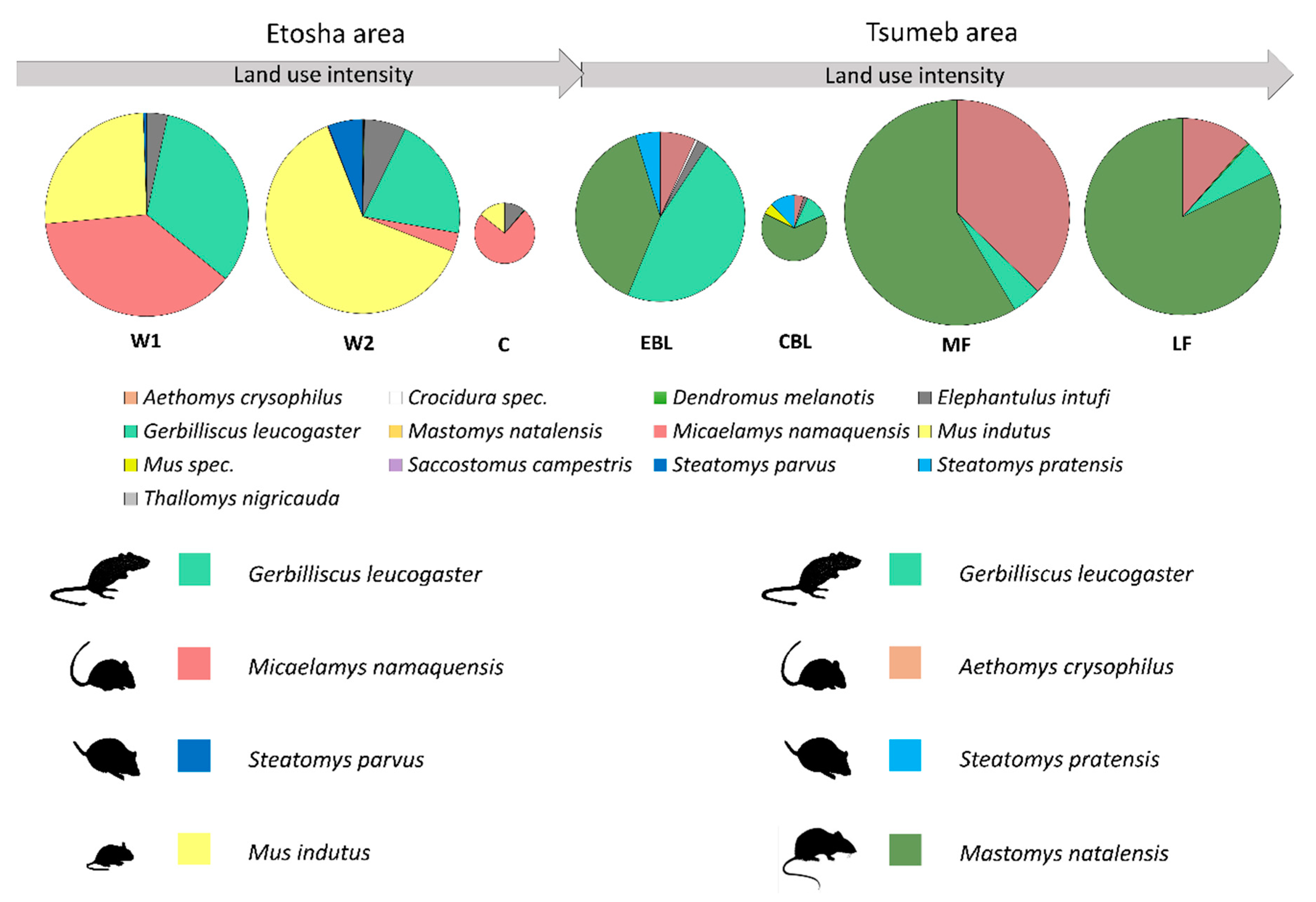 Diversity 12 00488 g003