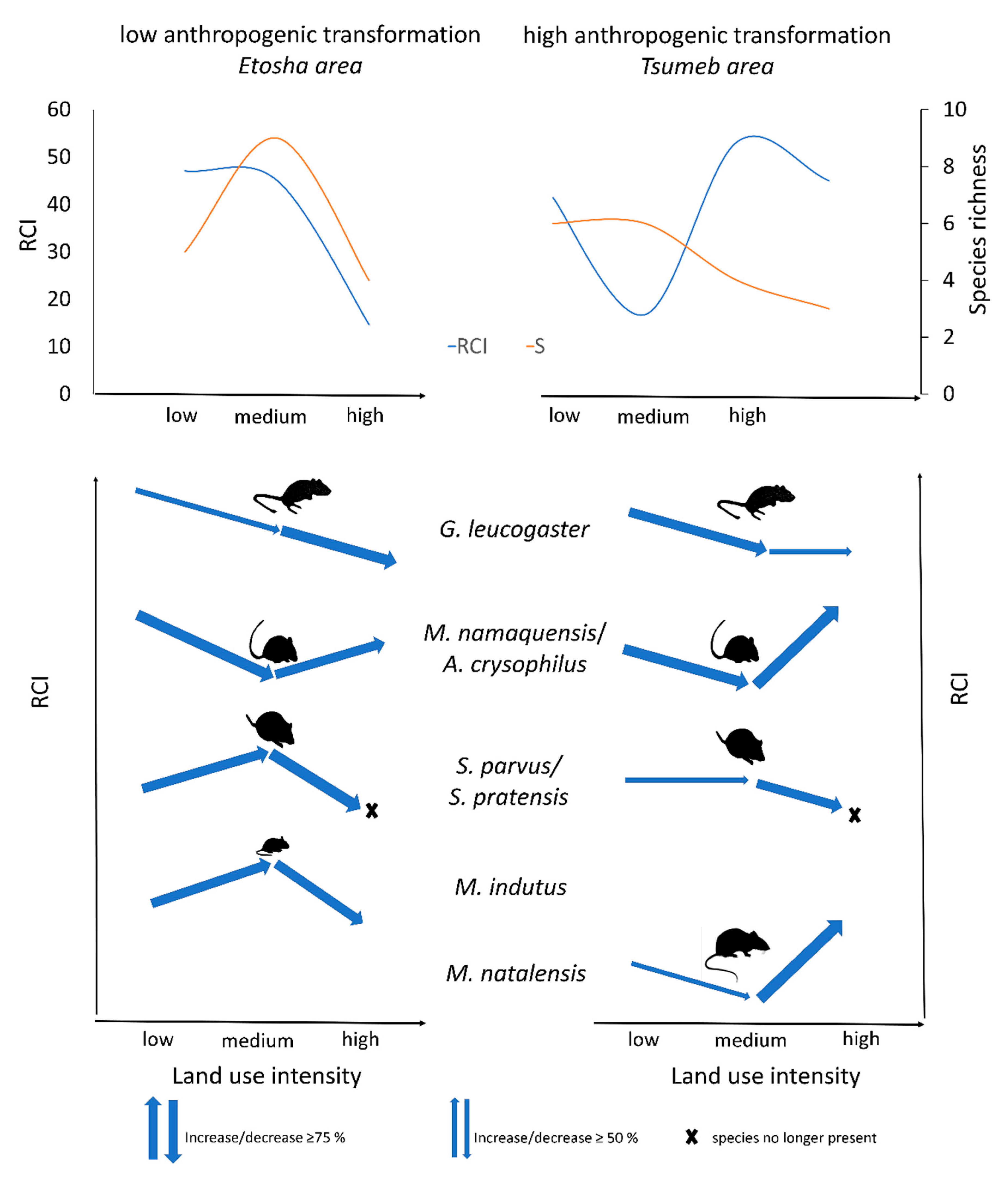 Diversity 12 00488 g004