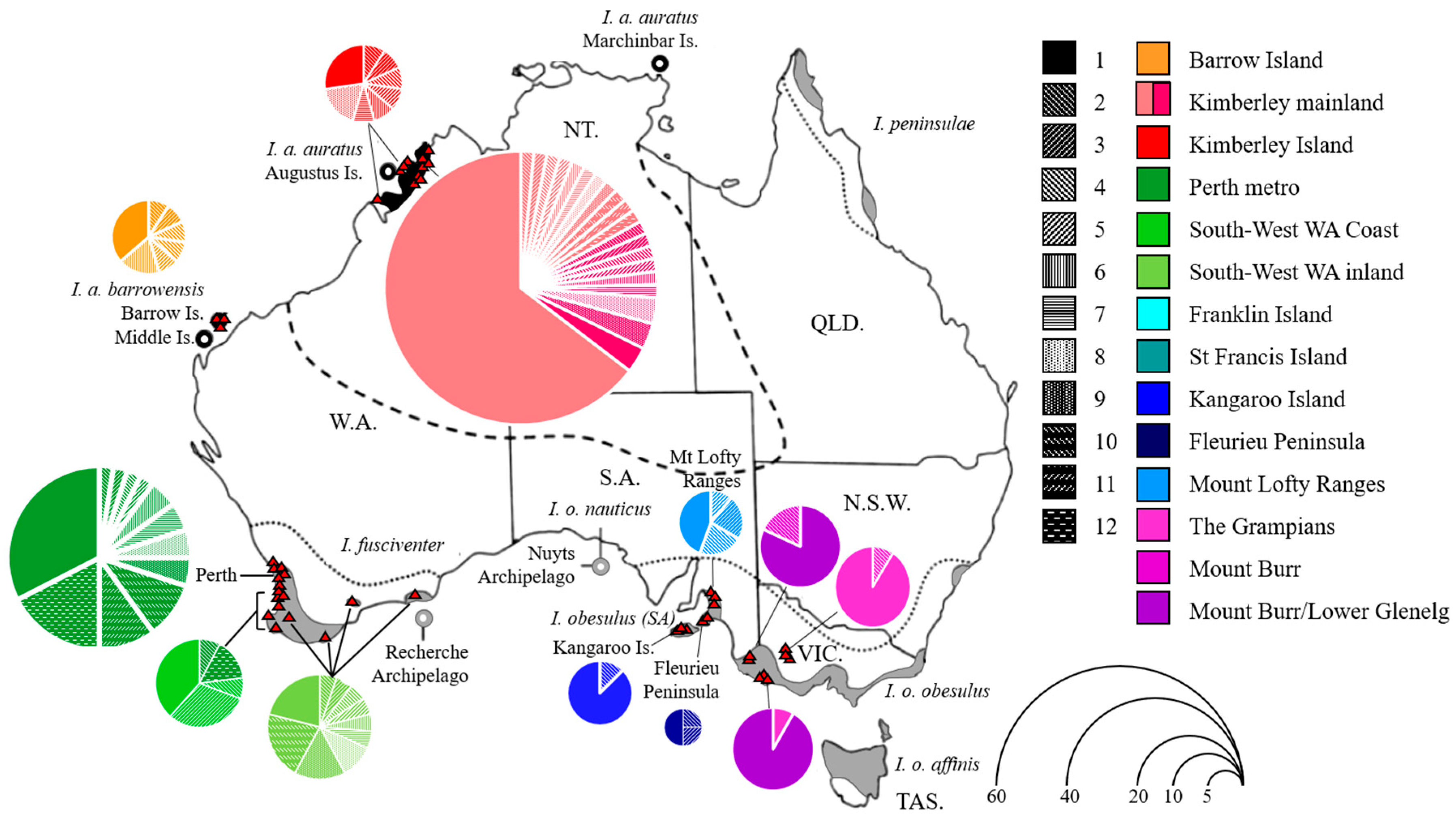 Diversity 13 00002 g001
