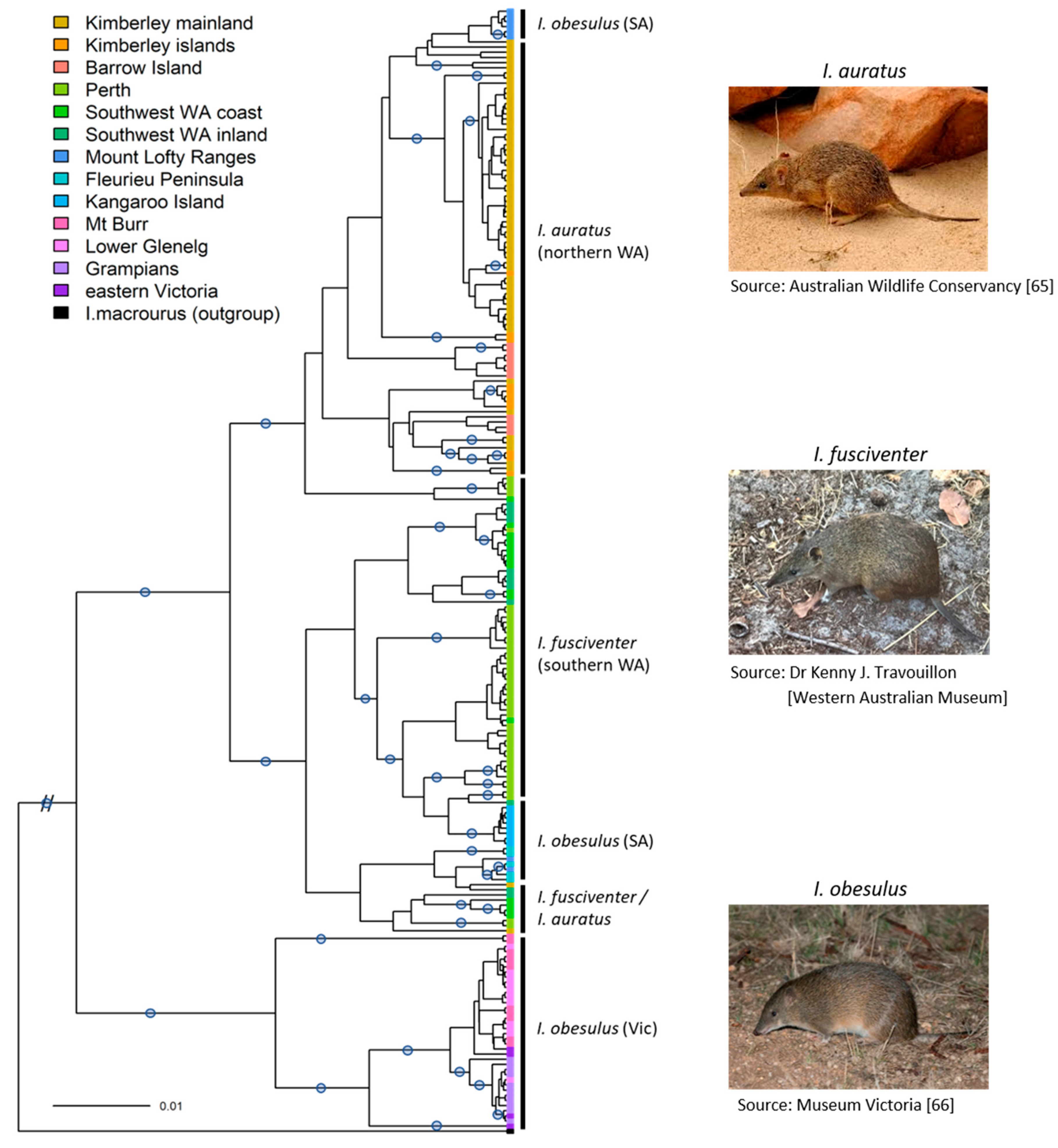 Diversity 13 00002 g002