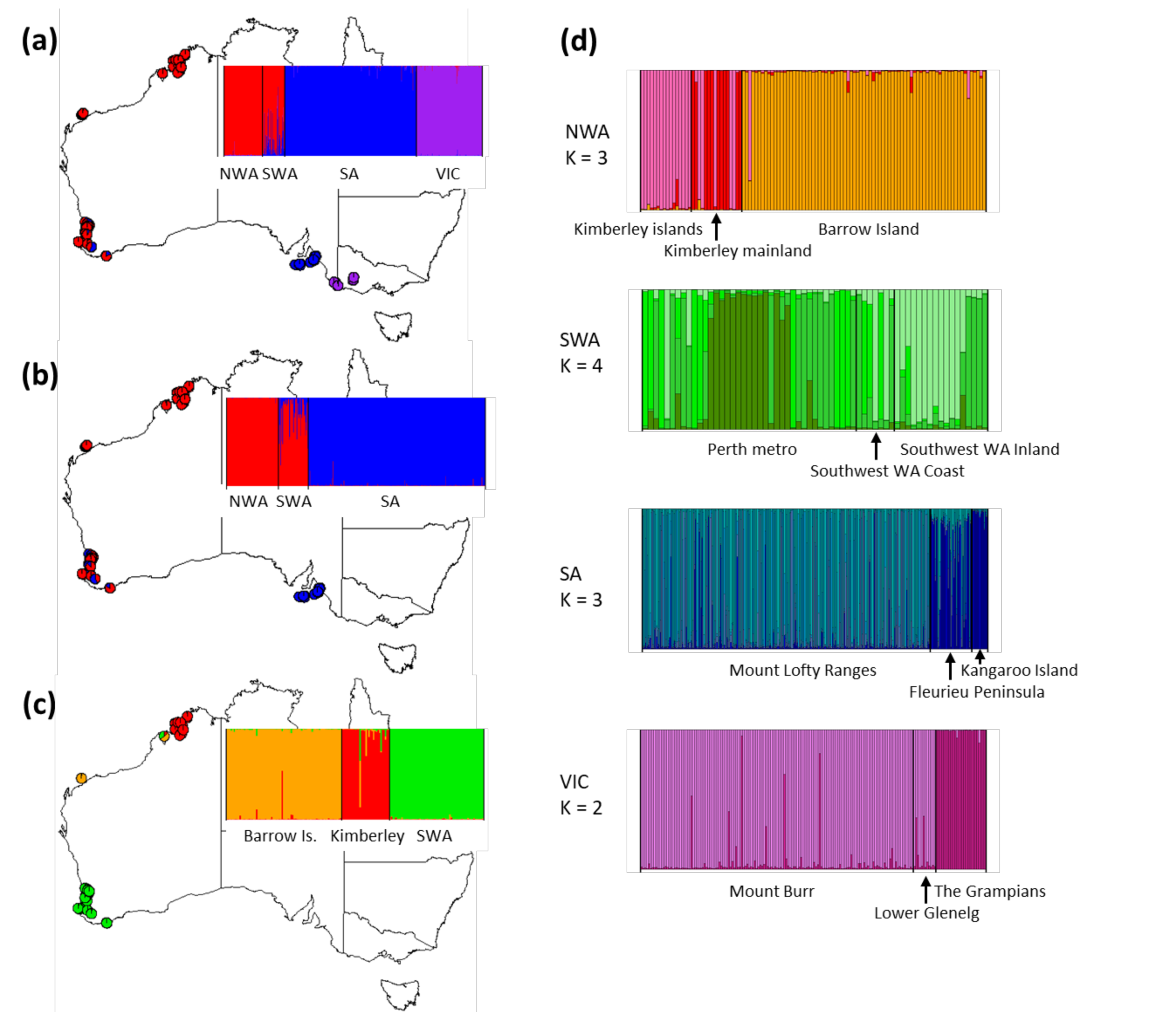 Diversity 13 00002 g004