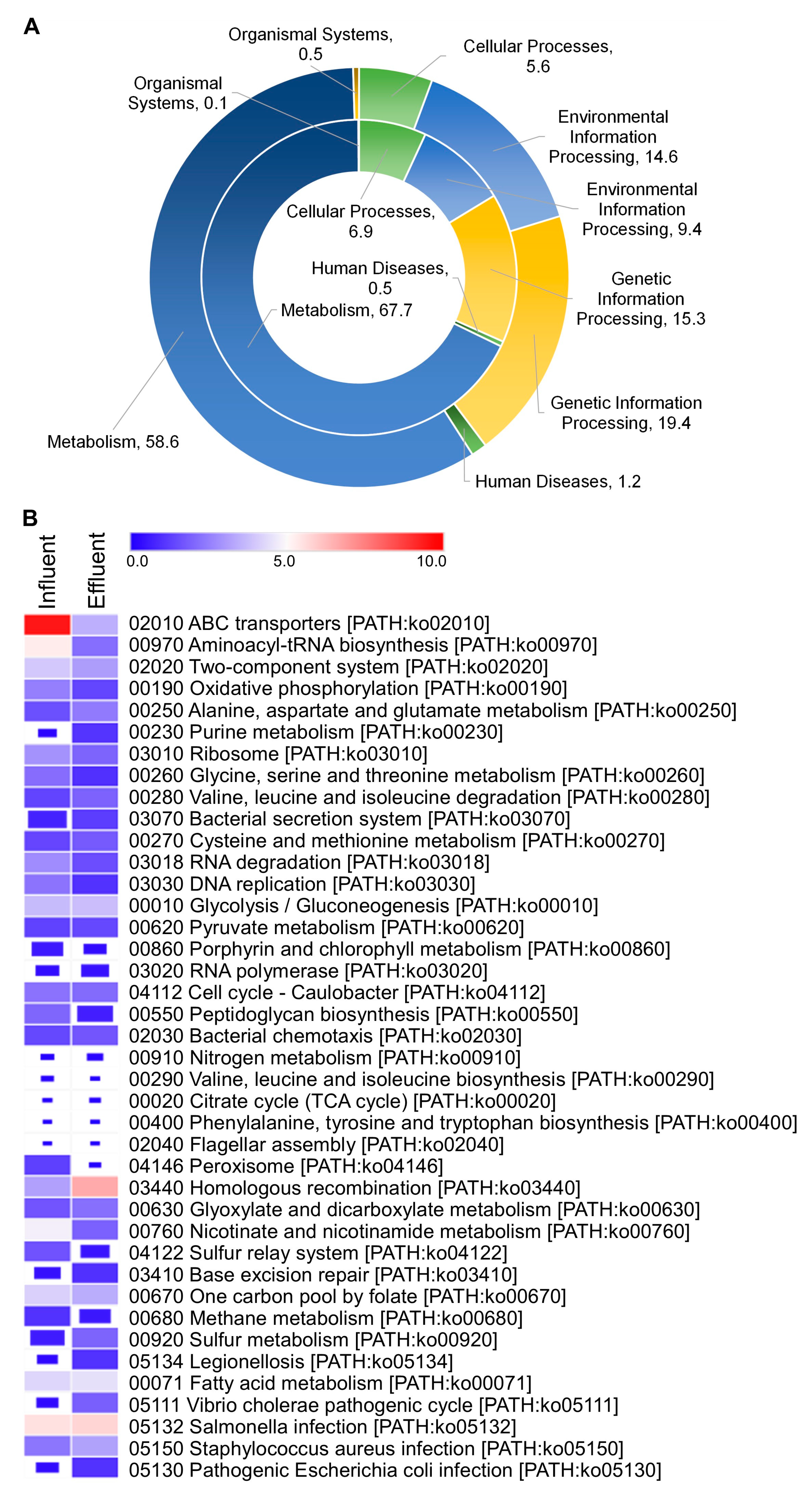 Diversity 13 00006 g006 Diversity 13 00006 g006