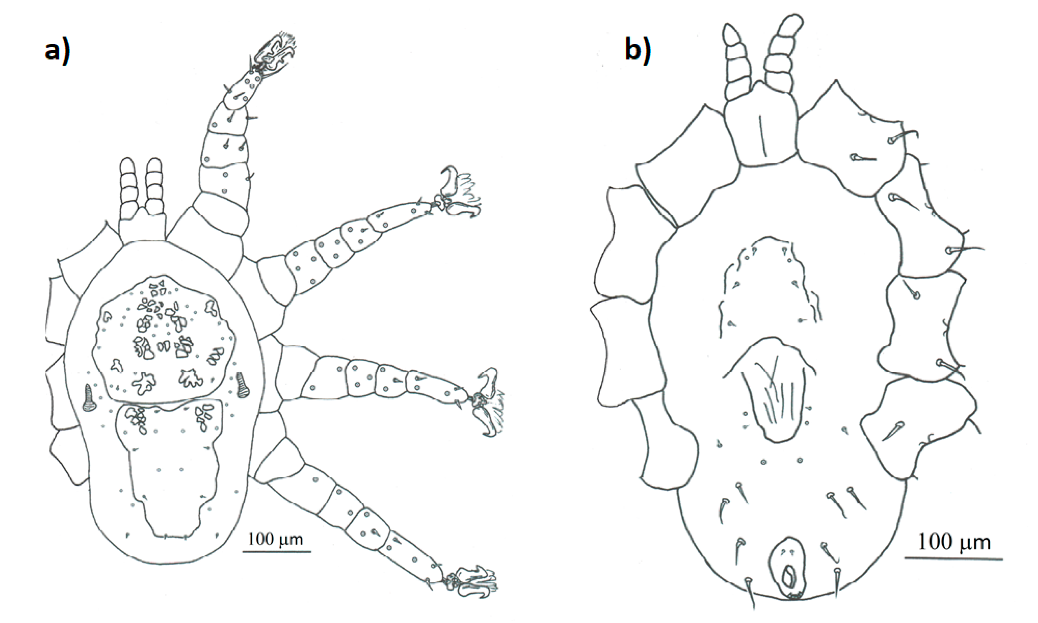 Diversity 13 00011 g004