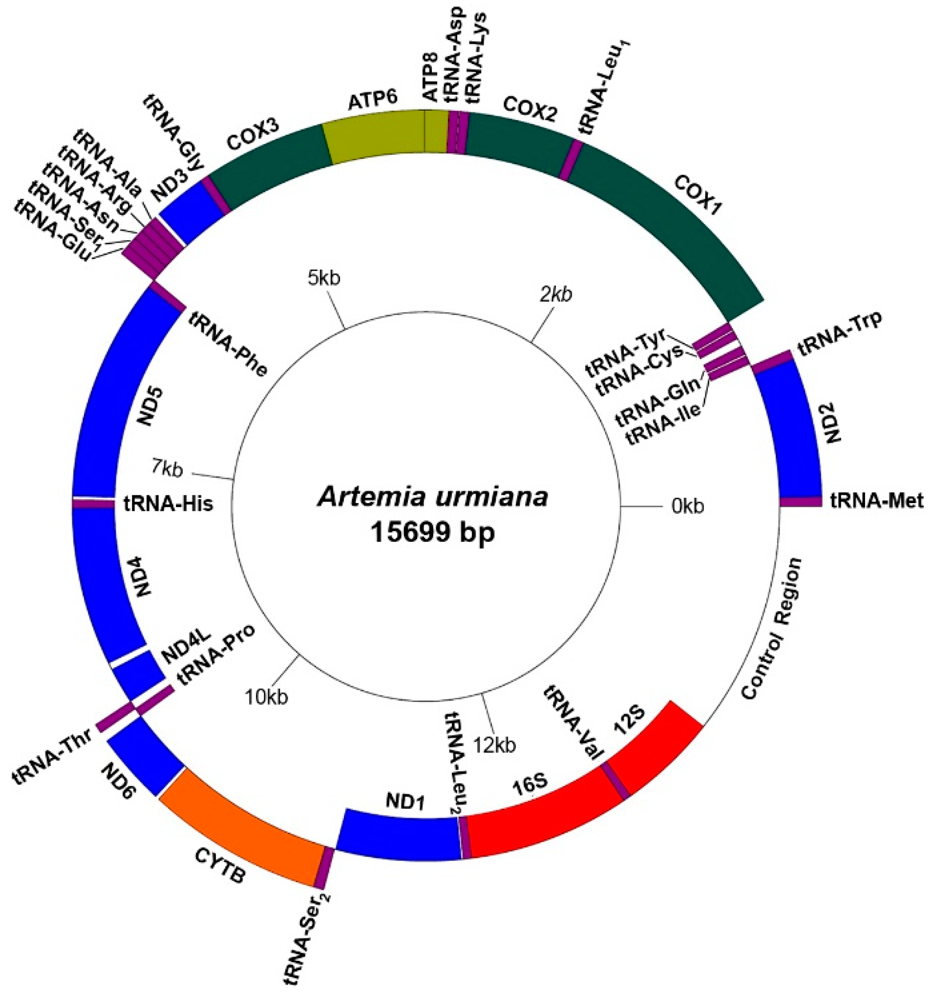 Diversity 13 00014 g001 Diversity 13 00014 g001
