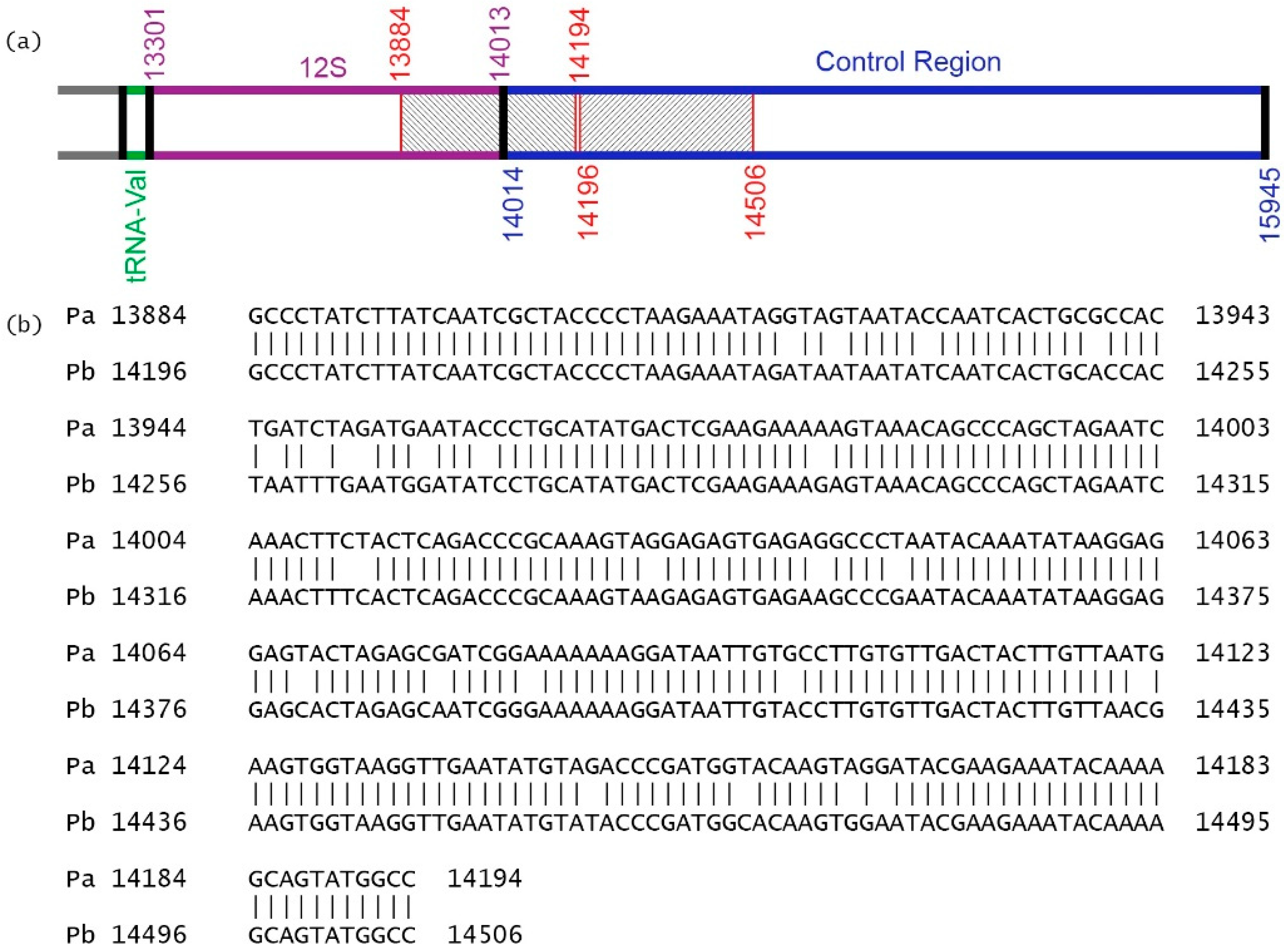 Diversity 13 00014 g006 Diversity 13 00014 g006