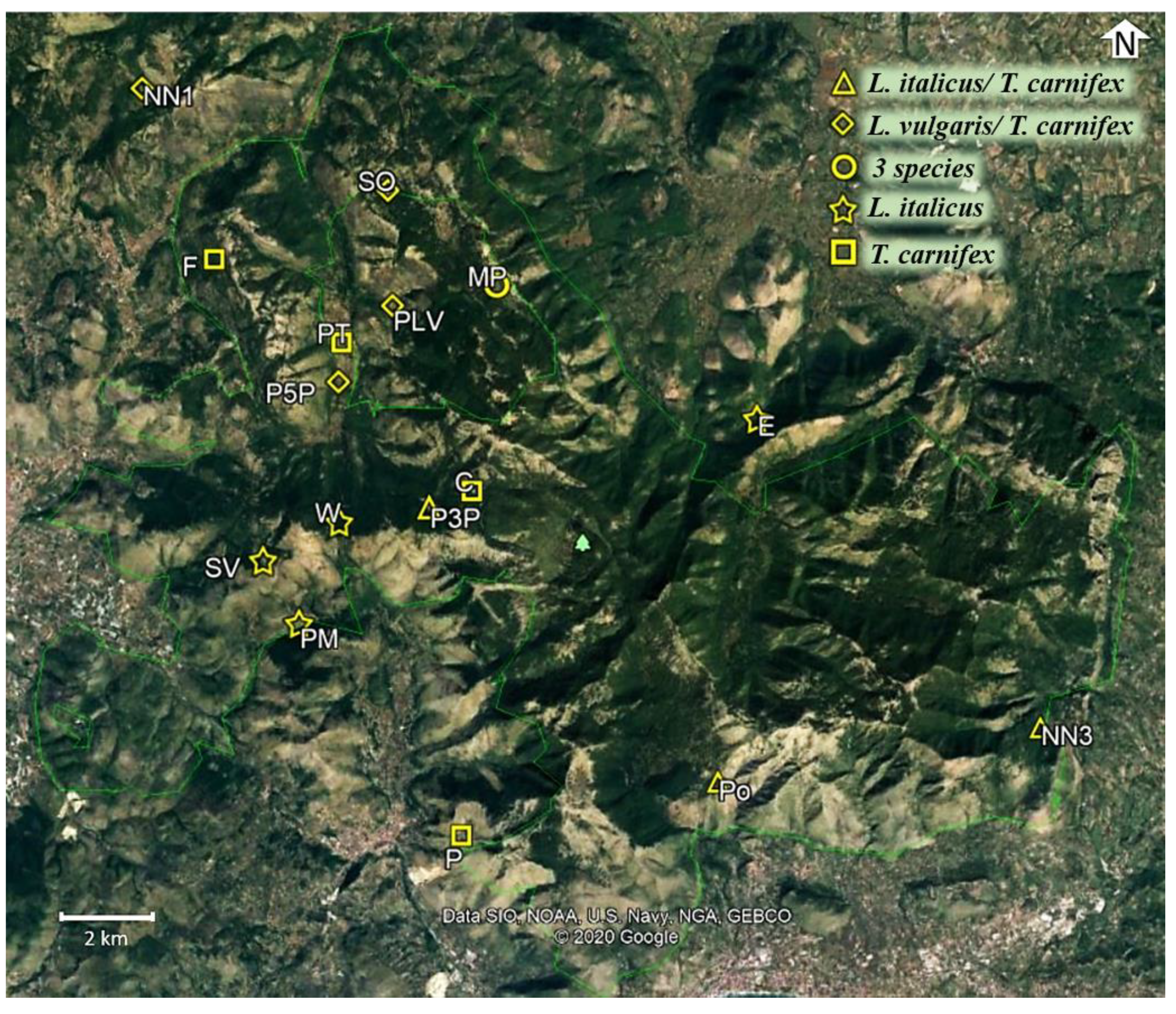 Diversity 13 00032 g001 Diversity 13 00032 g001