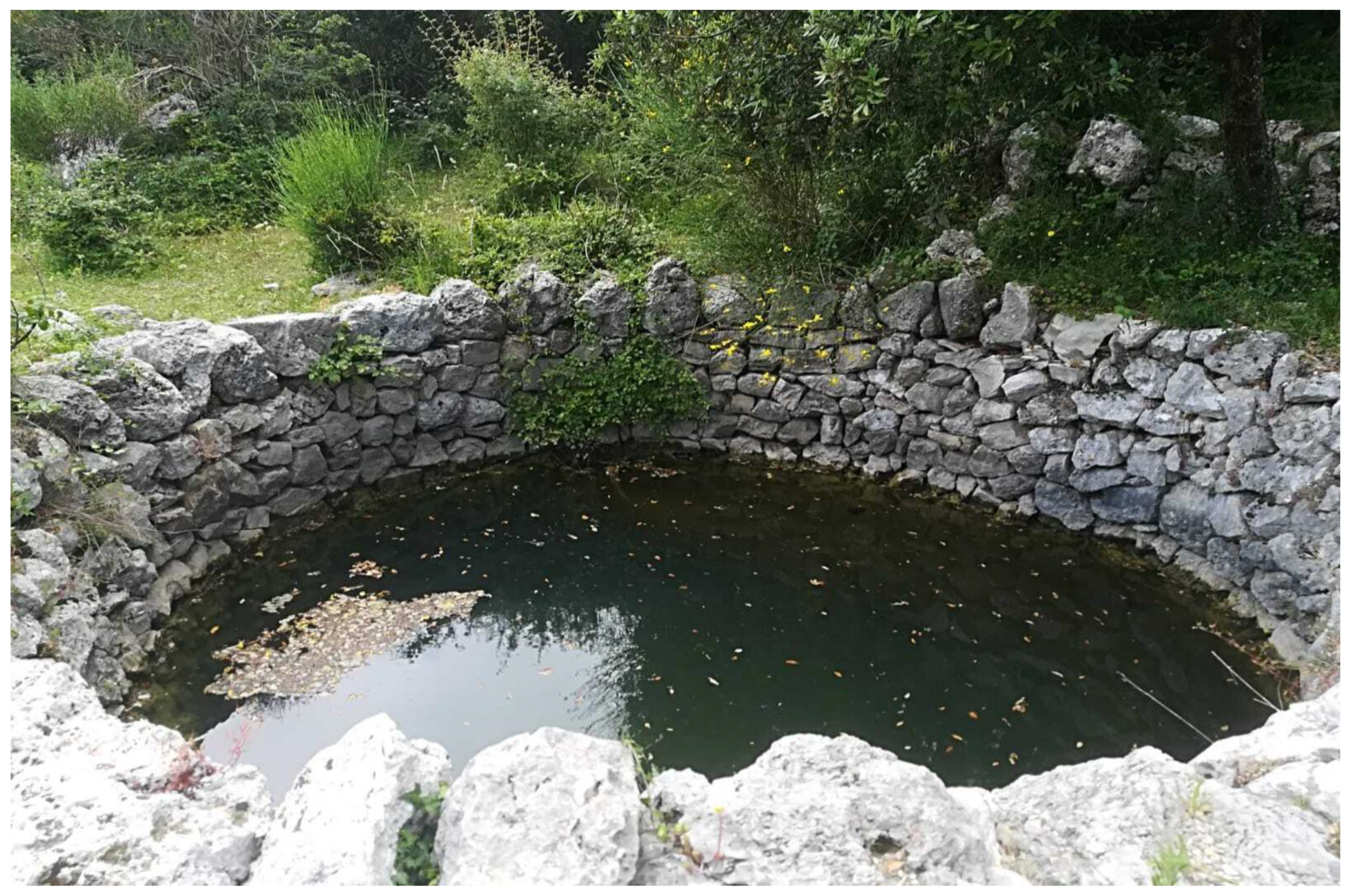 Diversity 13 00032 g002 Diversity 13 00032 g002