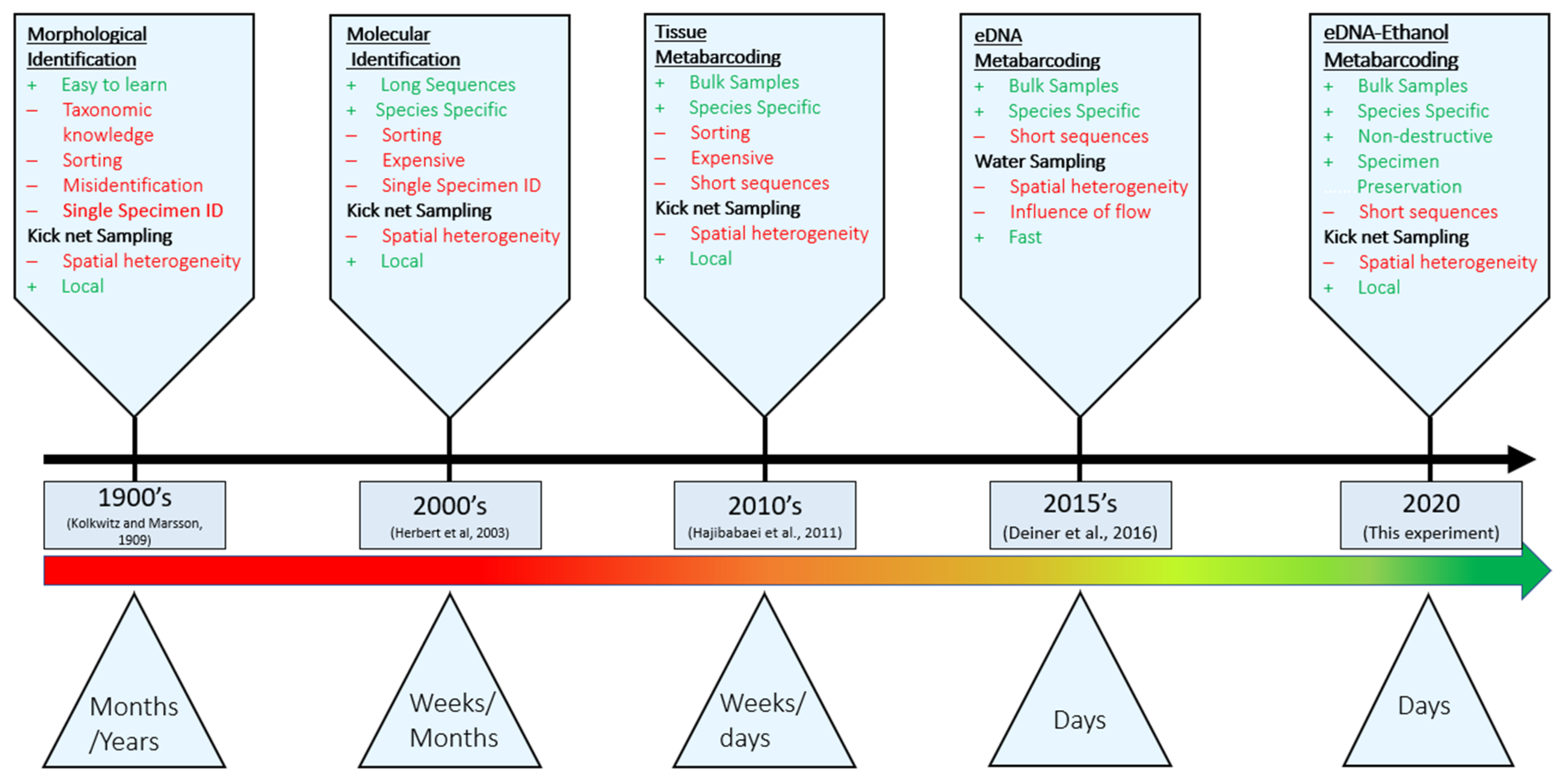 Diversity 13 00034 g001 Diversity 13 00034 g001