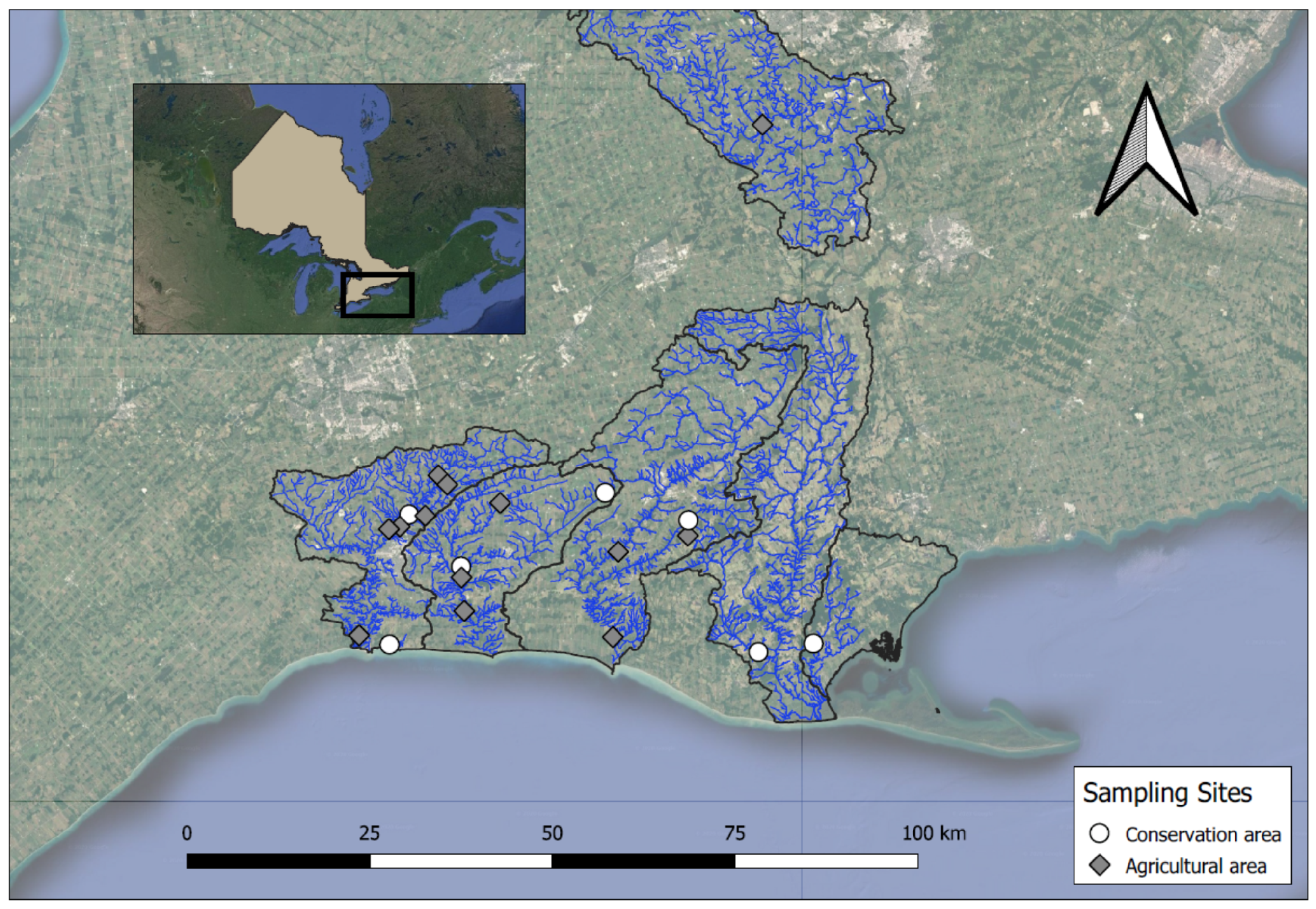 Diversity 13 00034 g002 Diversity 13 00034 g002