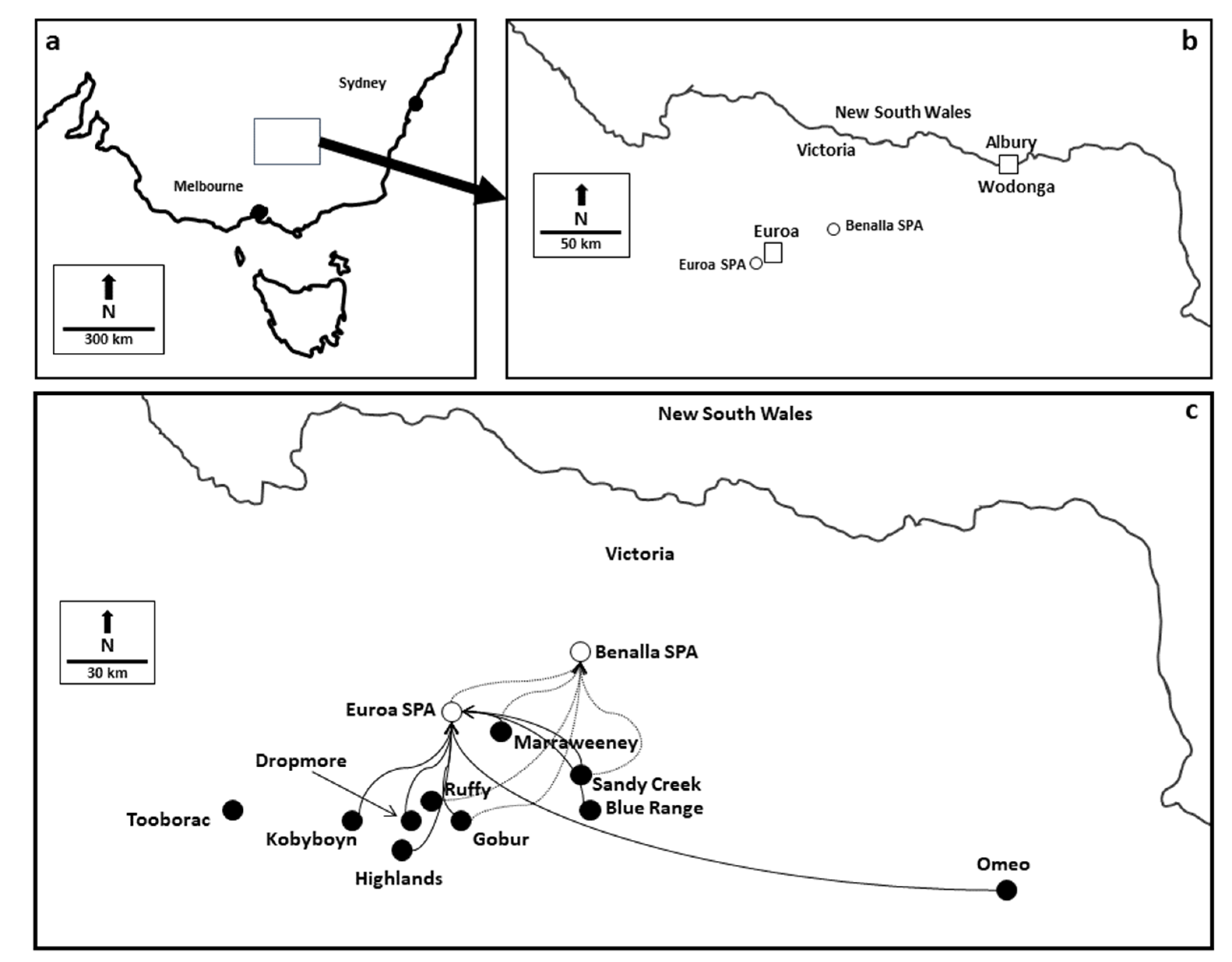 Diversity 13 00039 g001