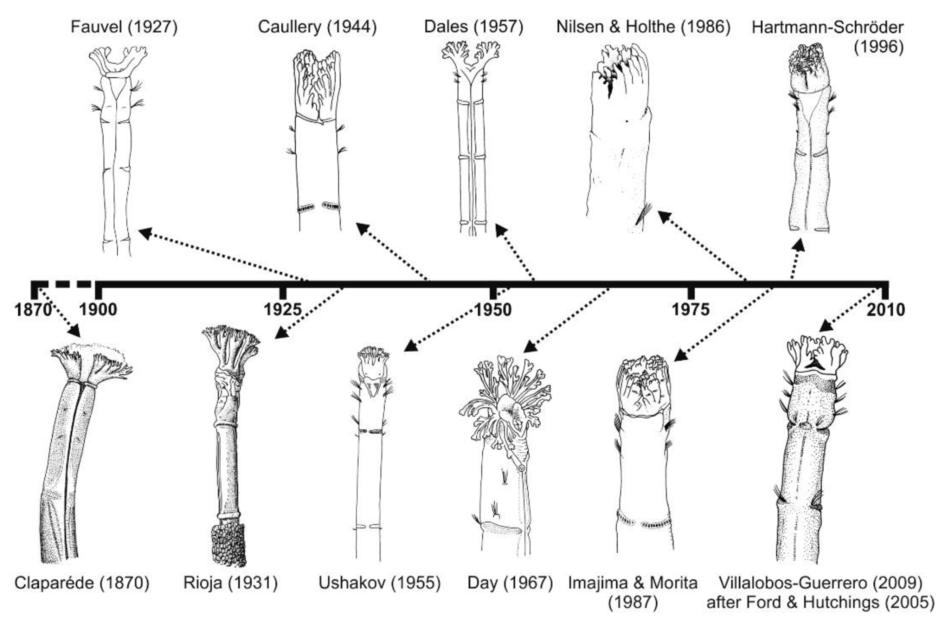 Diversity 13 00041 g019