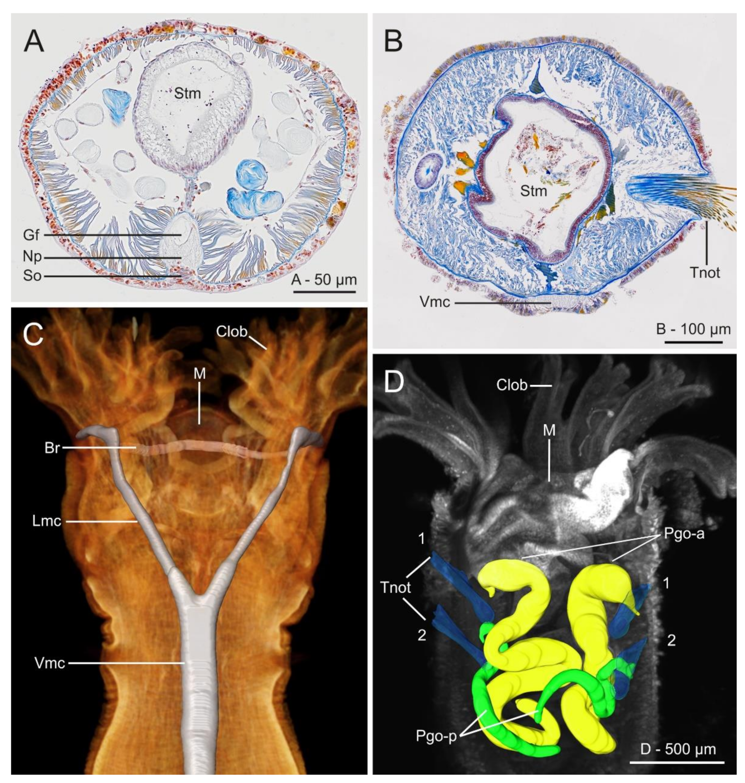 Diversity 13 00041 g021