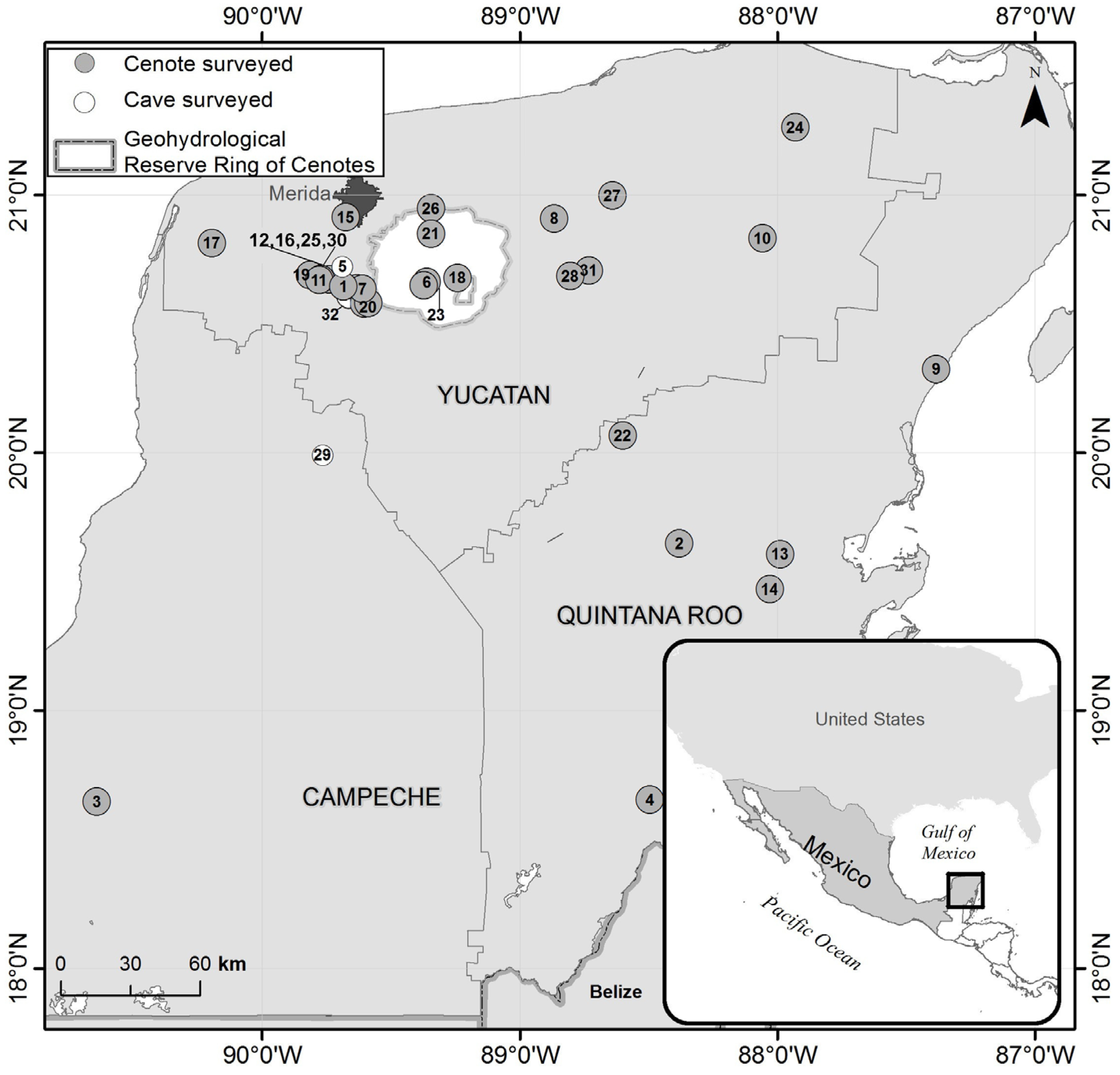 Diversity 13 00044 g001 Diversity 13 00044 g001