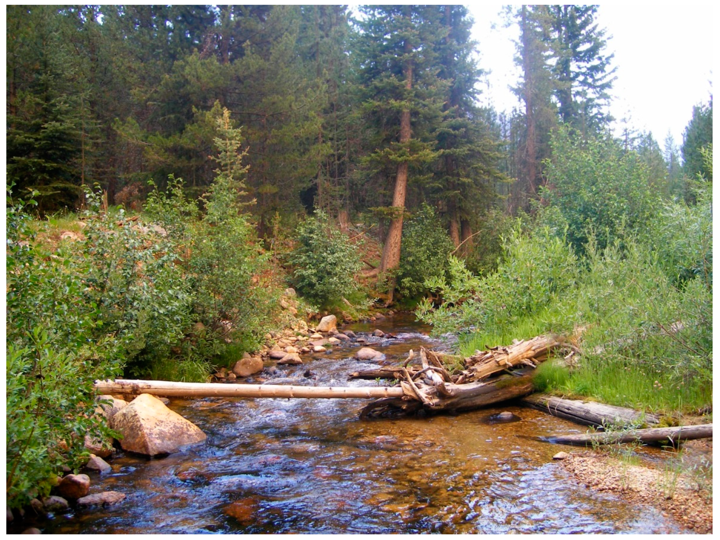 Diversity 13 00048 g0a3 Diversity 13 00048 g0a3