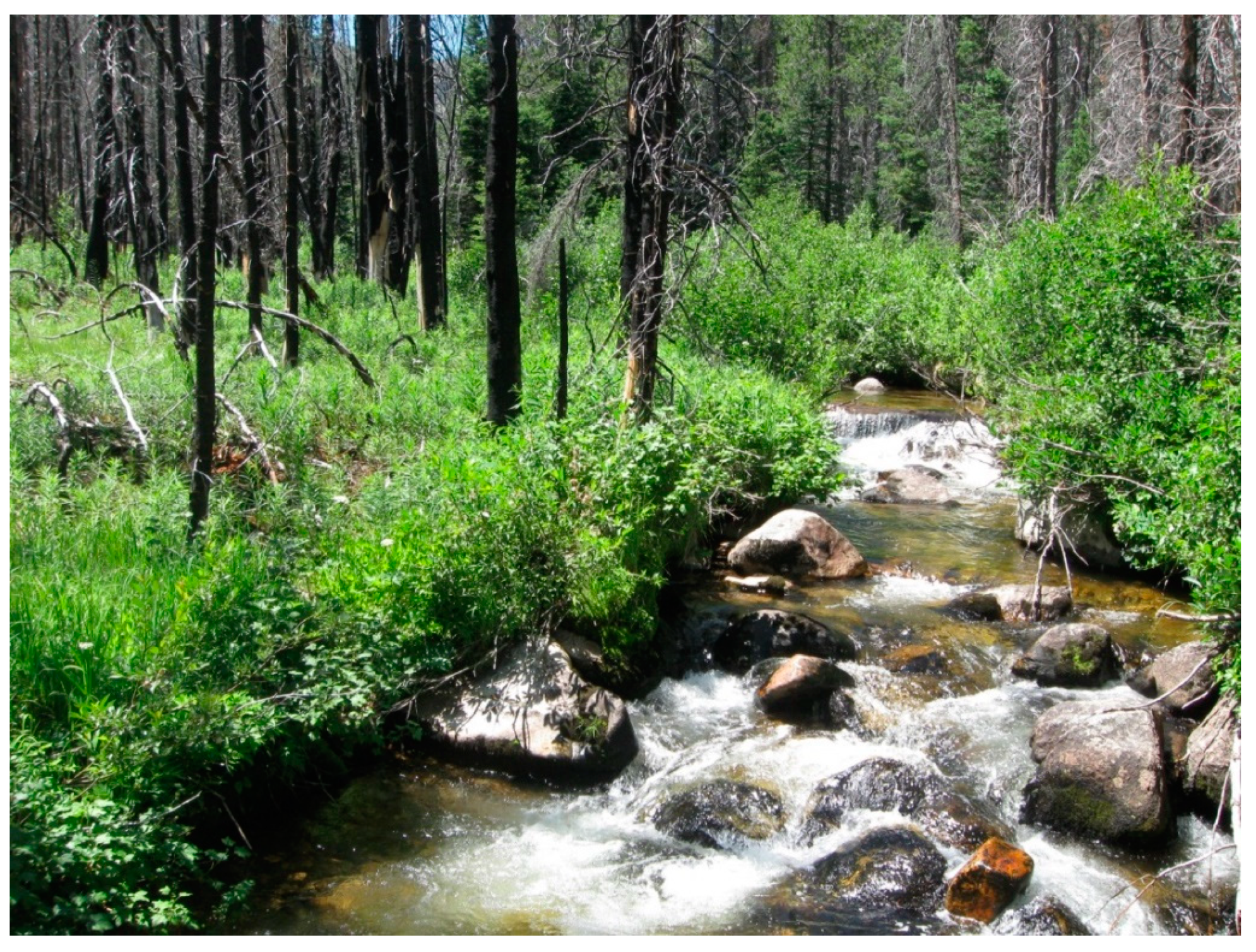 Diversity 13 00048 g0a4 Diversity 13 00048 g0a4