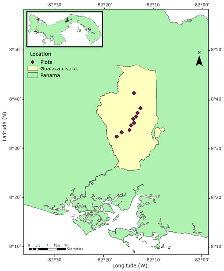 Diversity Free Full Text Vascular Epiphyte Assemblages On Isolated Trees Along An Elevational Gradient In Southwest Panama Html Diversity Free Full Text Vascular Epiphyte Assemblages On Isolated Trees Along An Elevational Gradient In Southwest Panama Html