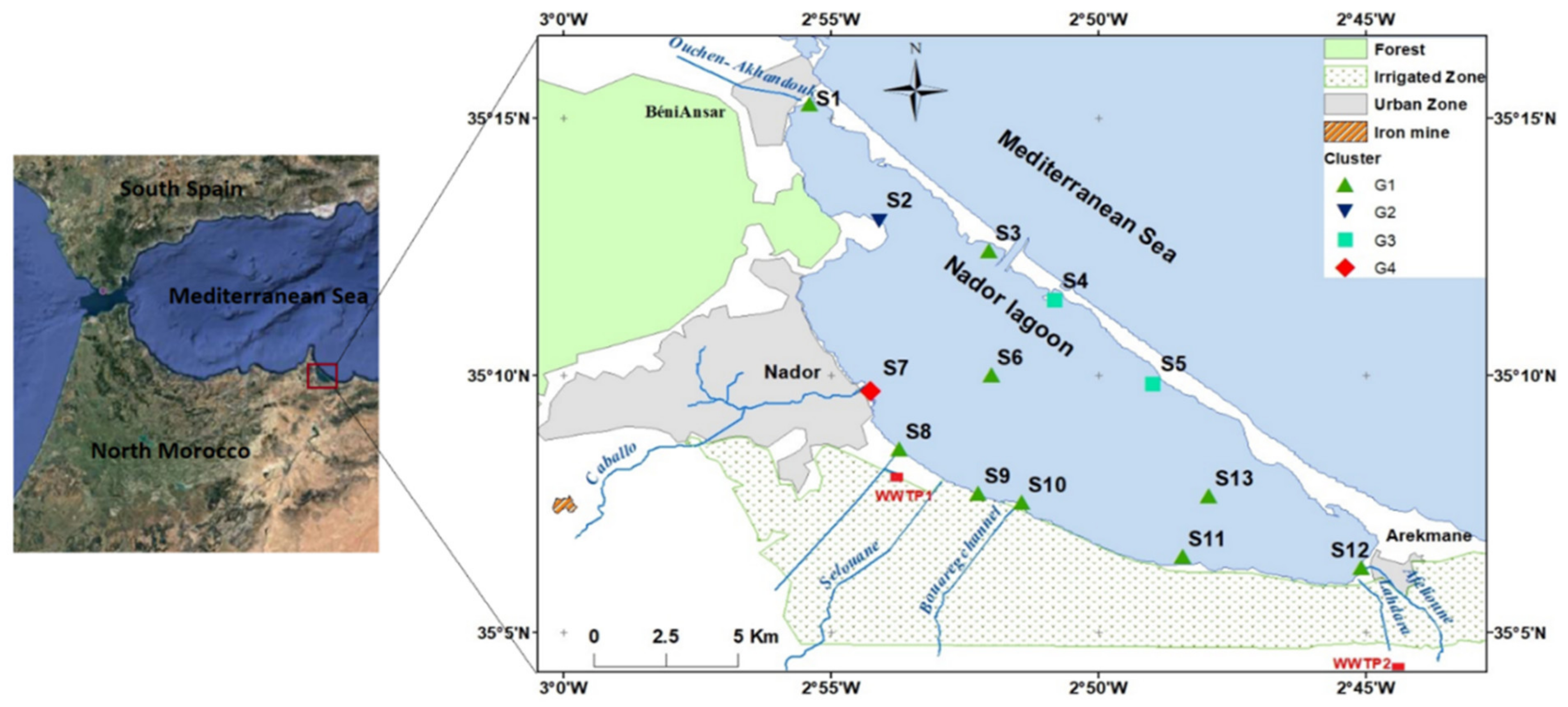 Diversity 13 00051 g001 Diversity 13 00051 g001