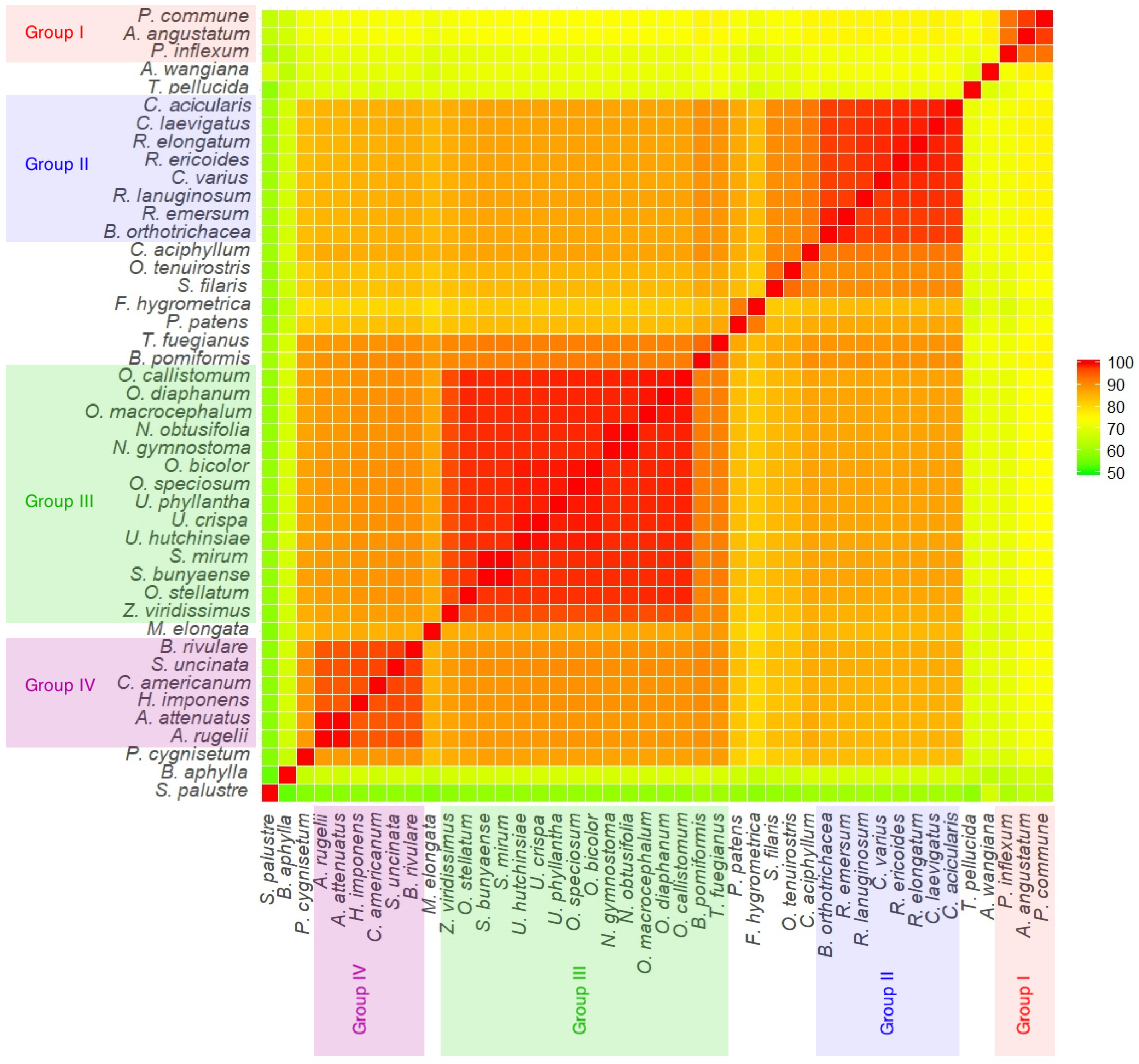 Diversity 13 00054 g005