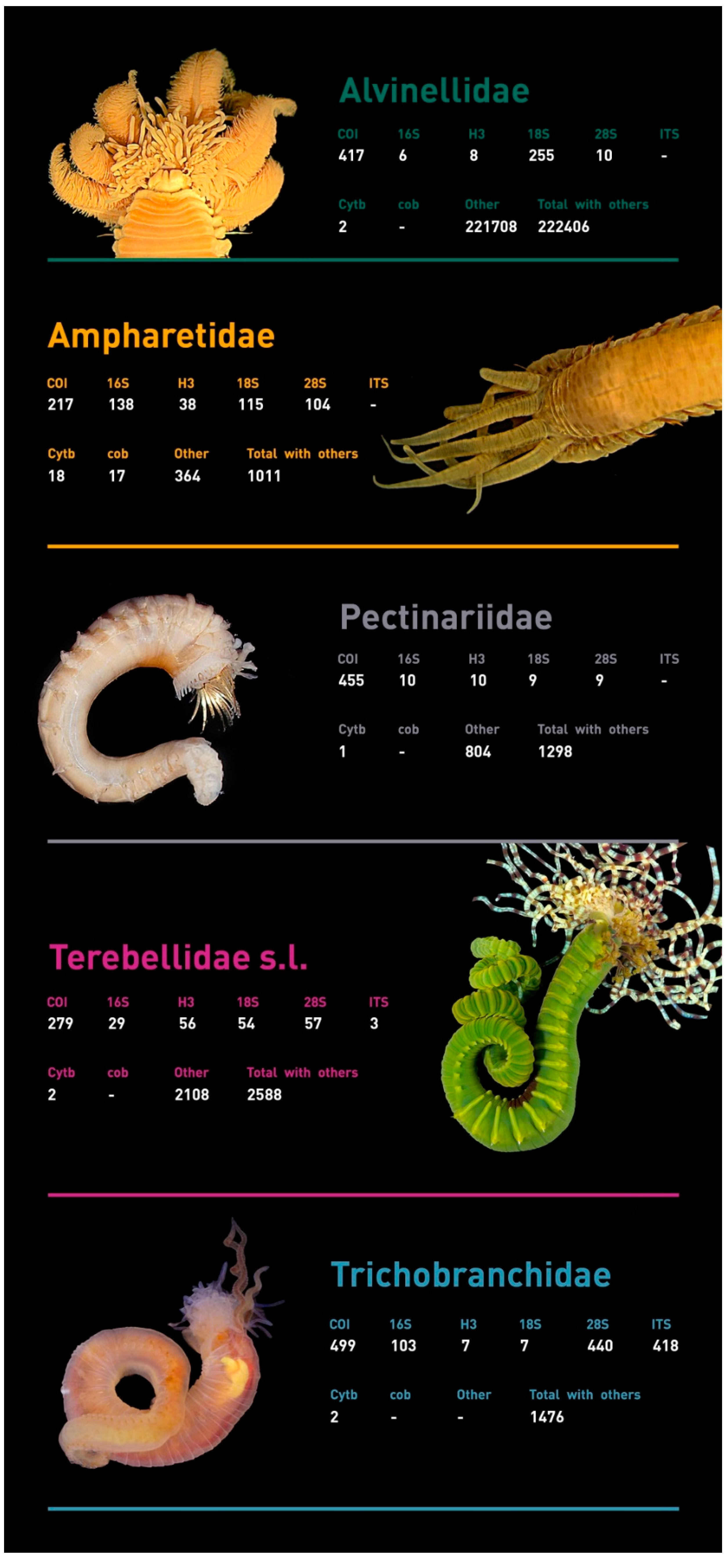 Diversity 13 00060 g010