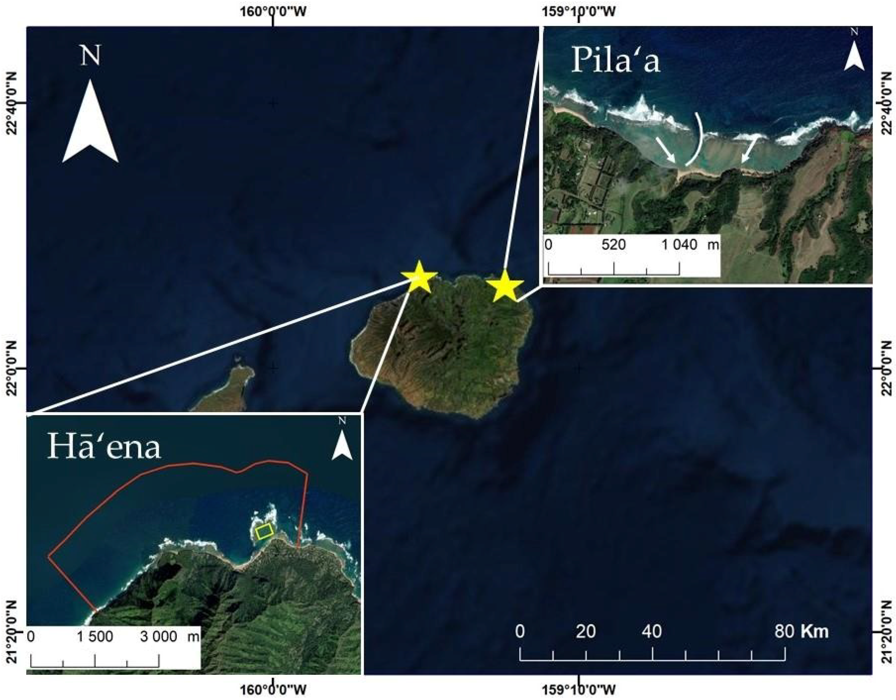 Diversity 13 00066 g001