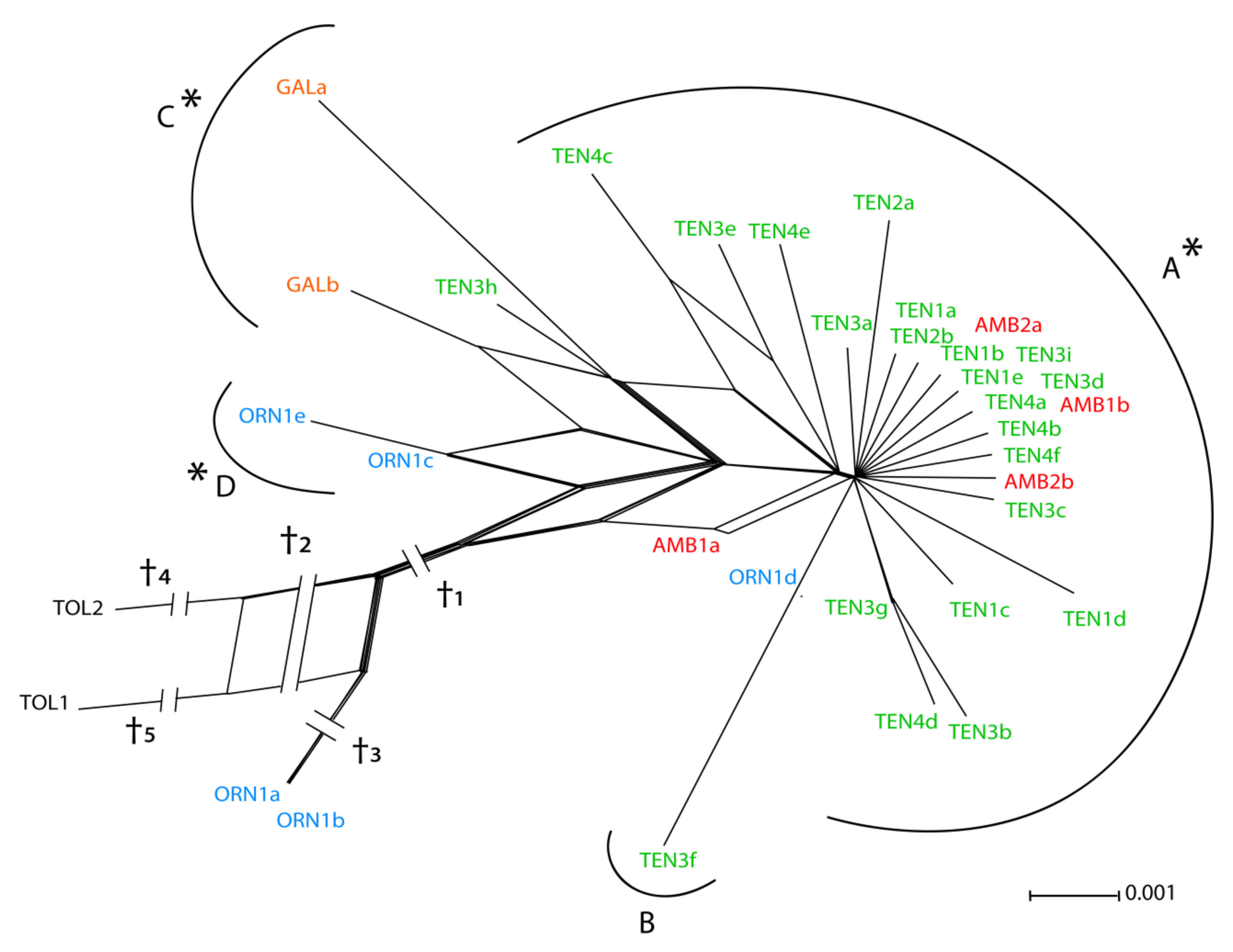 Diversity 13 00072 g003 Diversity 13 00072 g003