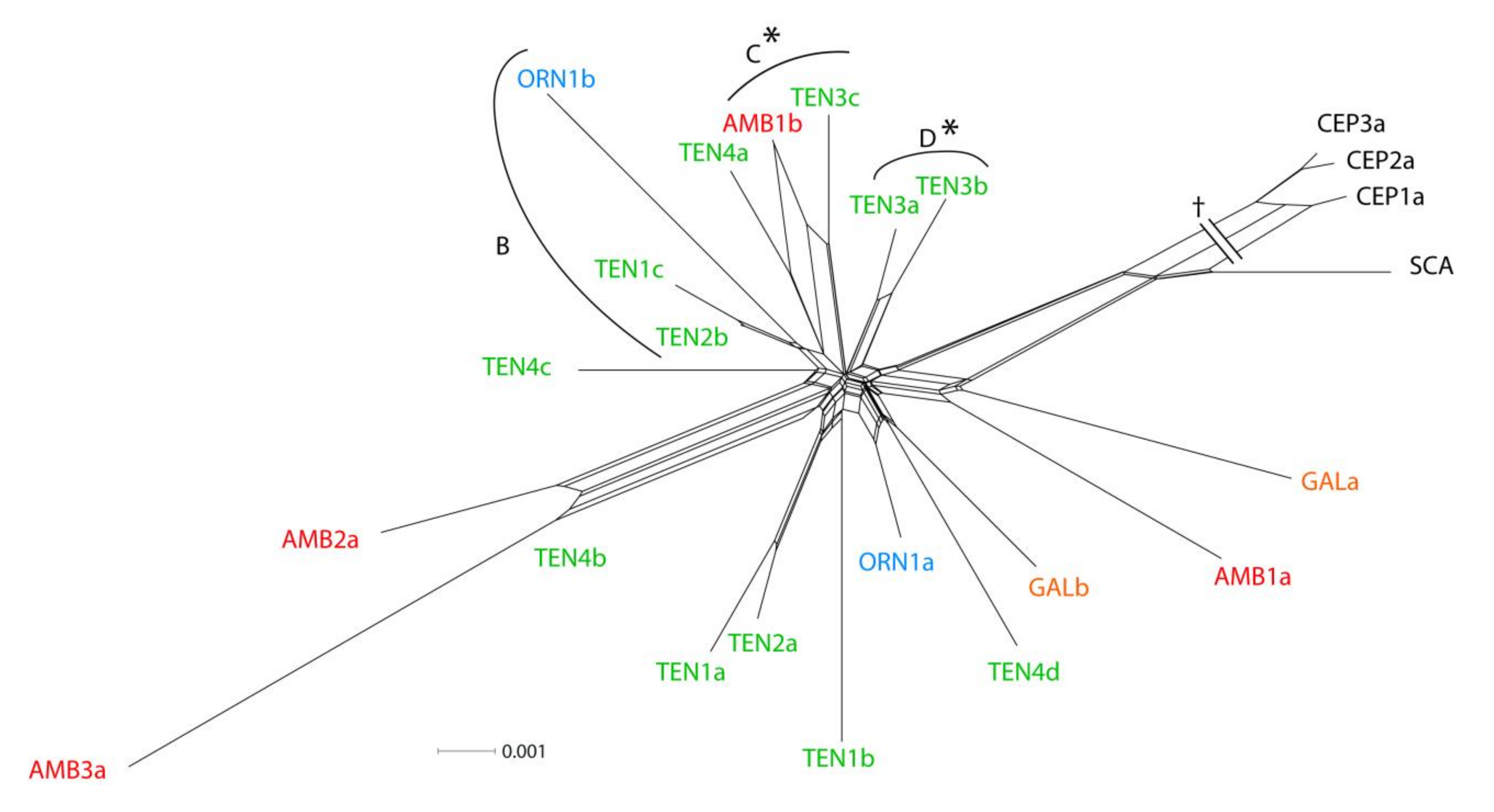 Diversity 13 00072 g004 Diversity 13 00072 g004